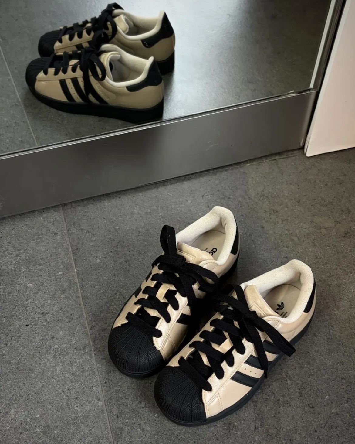 image_5BE5B046-AA25-4C43-BFCB-2E2865B66E06_1769144391