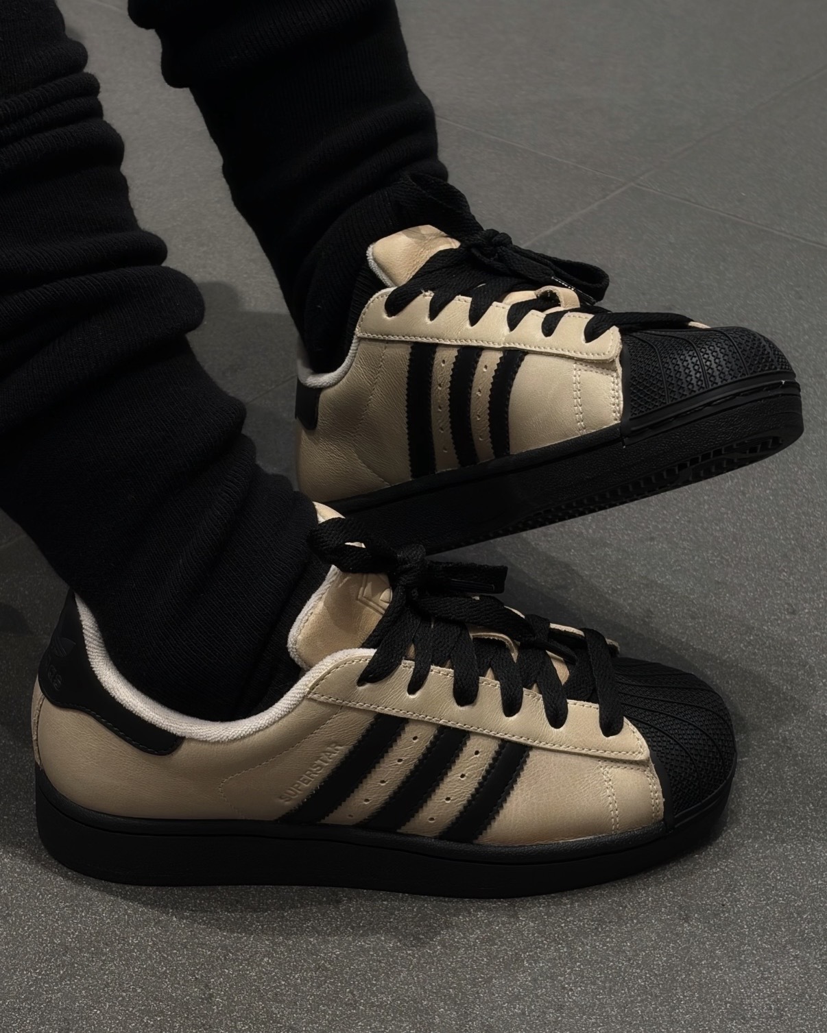 image_23FDEDD4-4193-439E-BEB8-B569B2384E82_1769144391