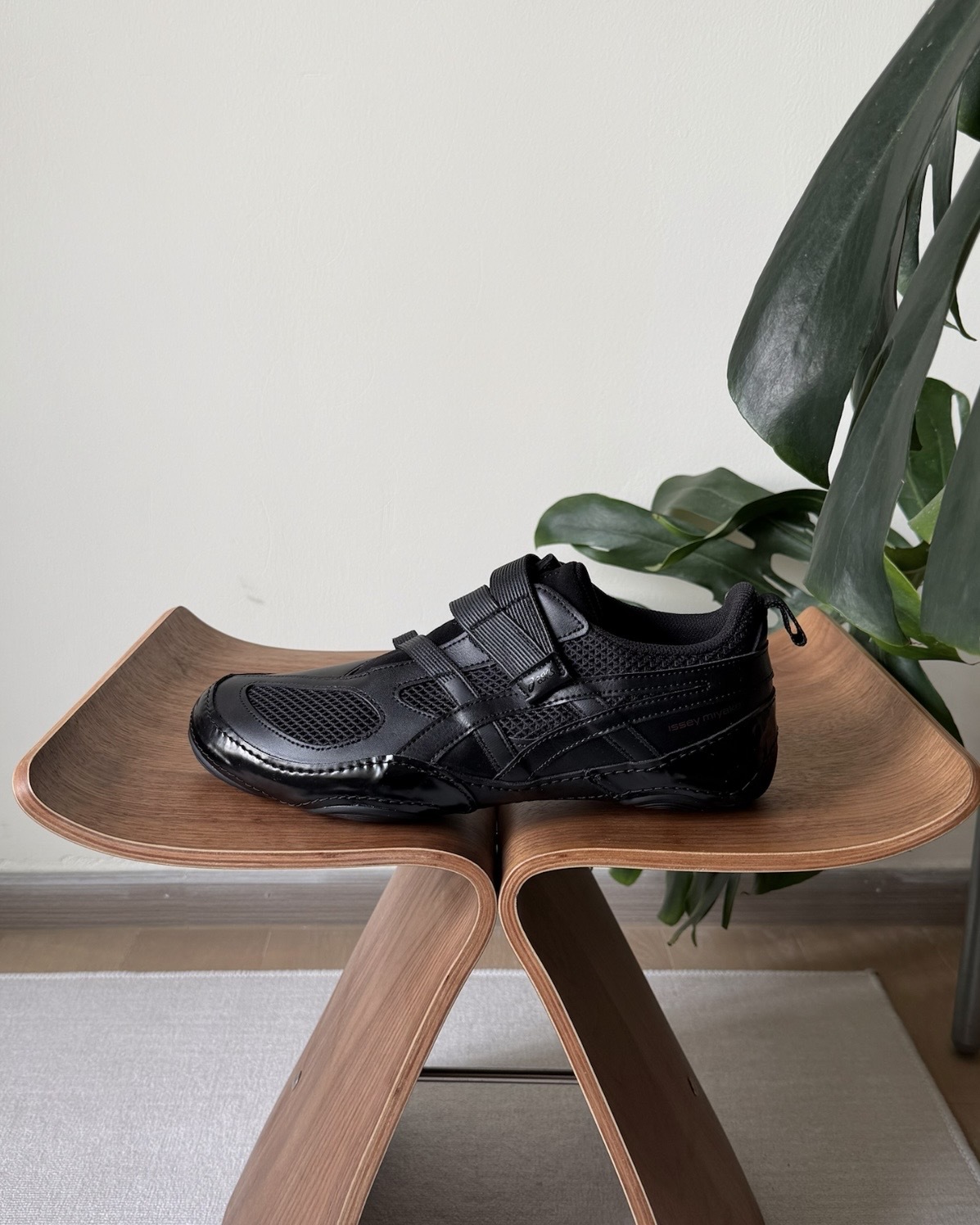 image_8CEB8B37-ED62-42C1-9B41-EE447C4234E4_1769425641