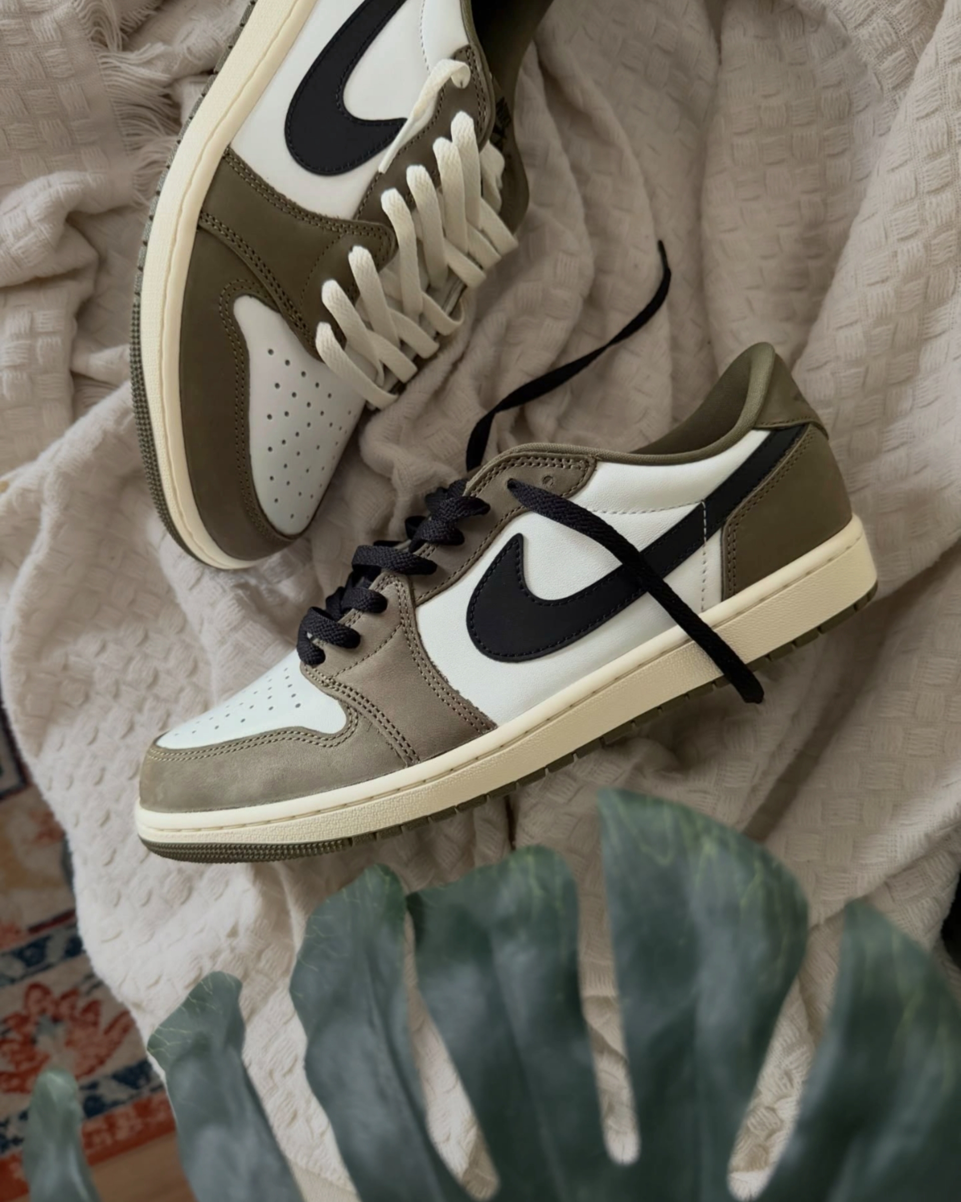 image_354F2809-77AC-4ABA-AD2C-97CBB968E053_1770028807