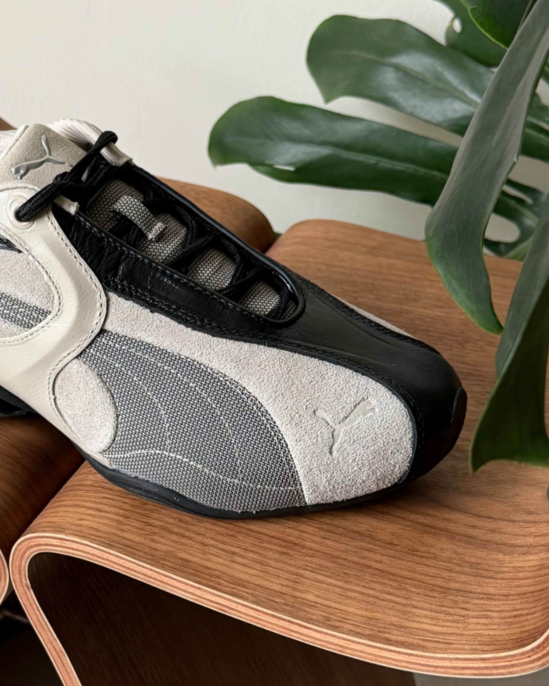 image_258E5E15-5109-4276-9AFD-1C4AD2BEB703_1770087024