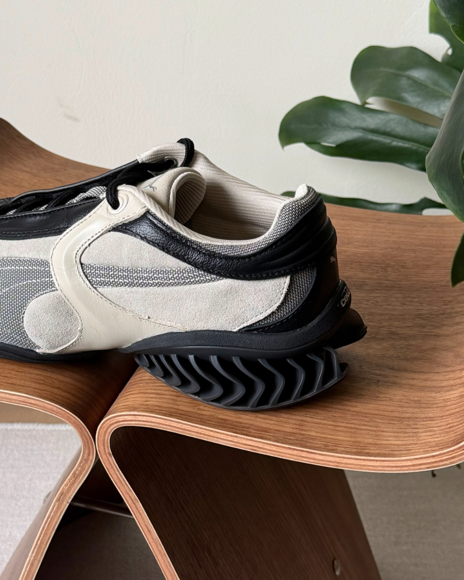 image_D4686DBC-B0BD-4862-BC3E-CCC53A4F5881_1770087024