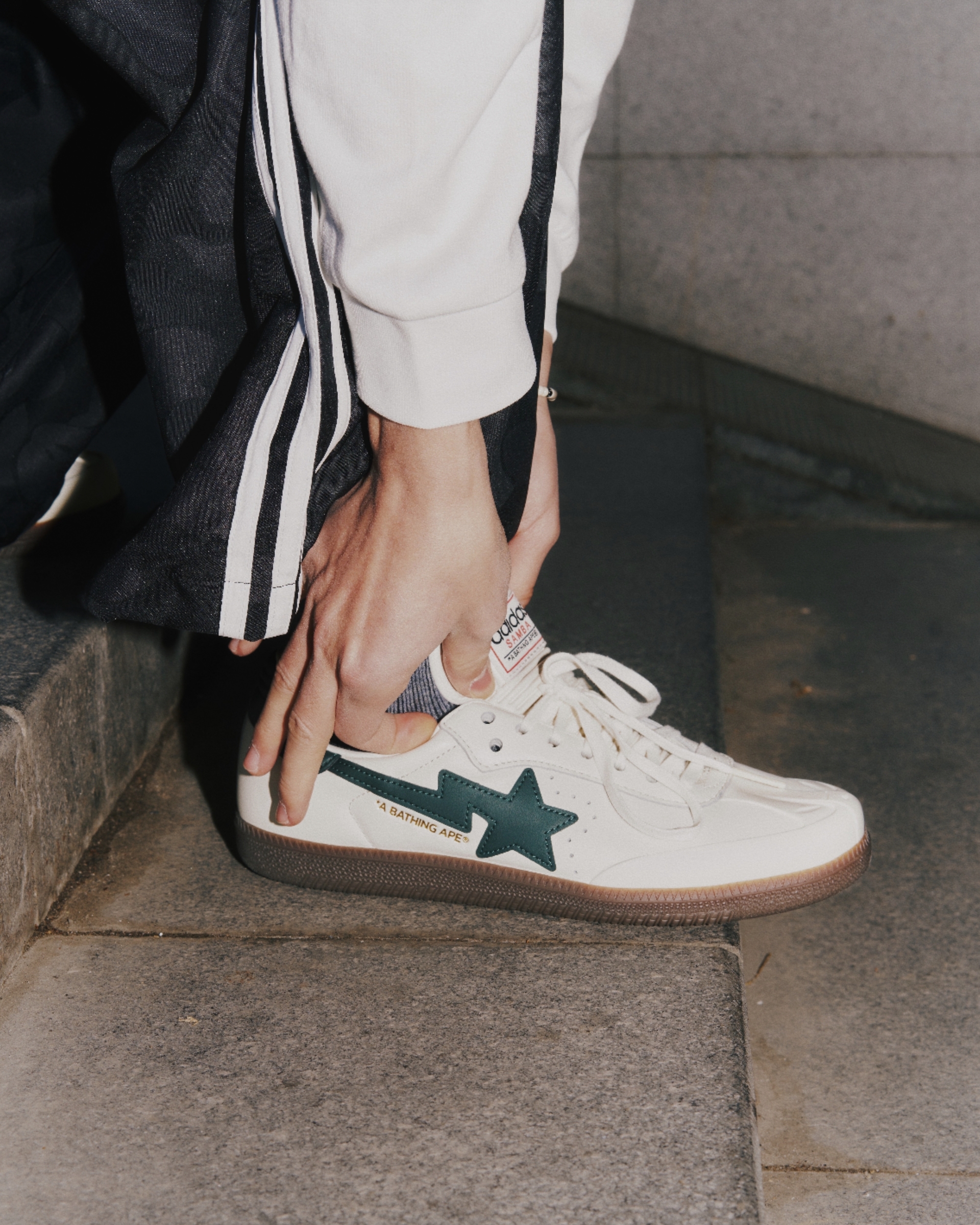 image_7BA69437-9A6E-419D-8D0F-82AC852205B6_1771668517