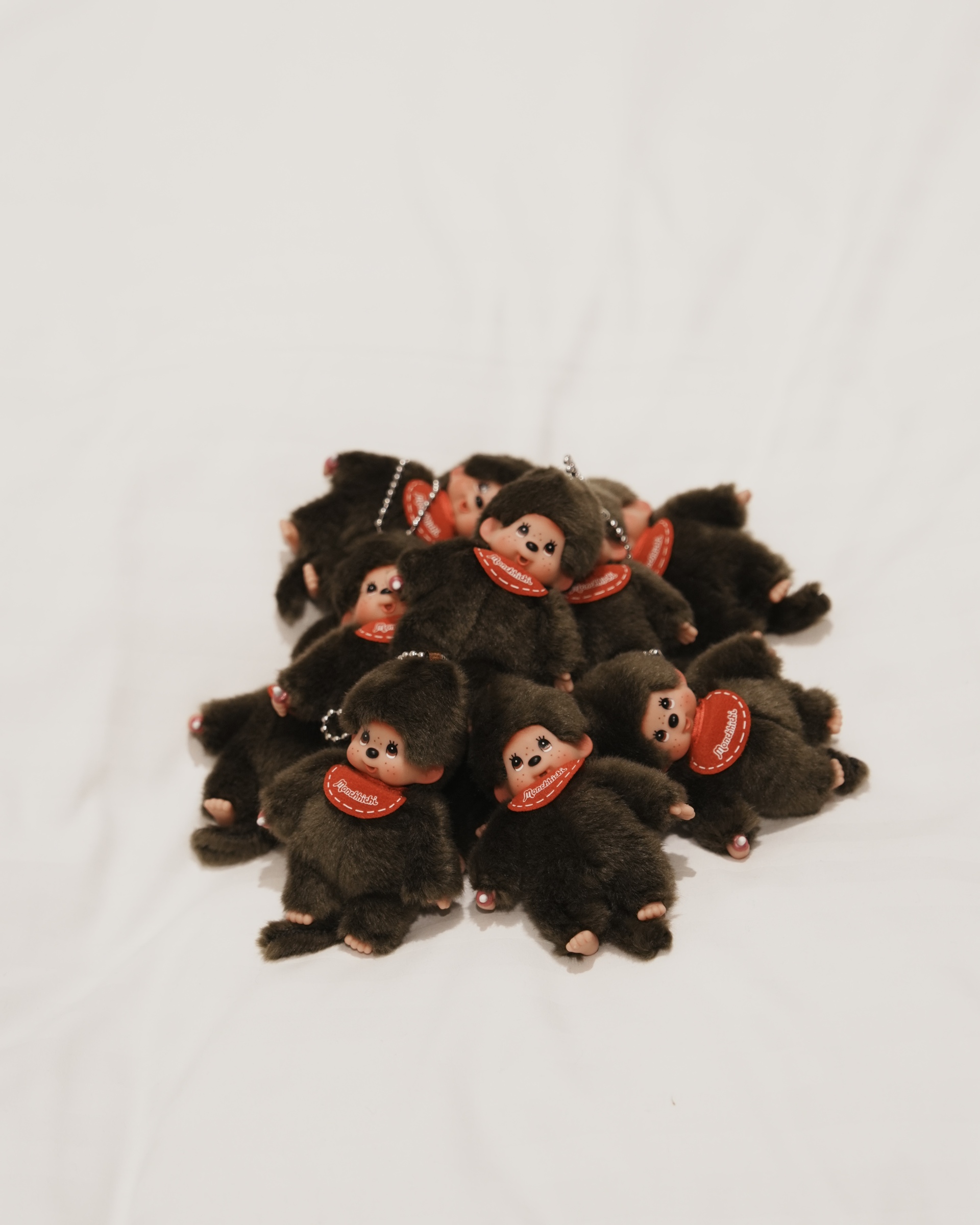 image_2C839C1B-8A91-4644-8902-BE9BBF08D810_1771948828