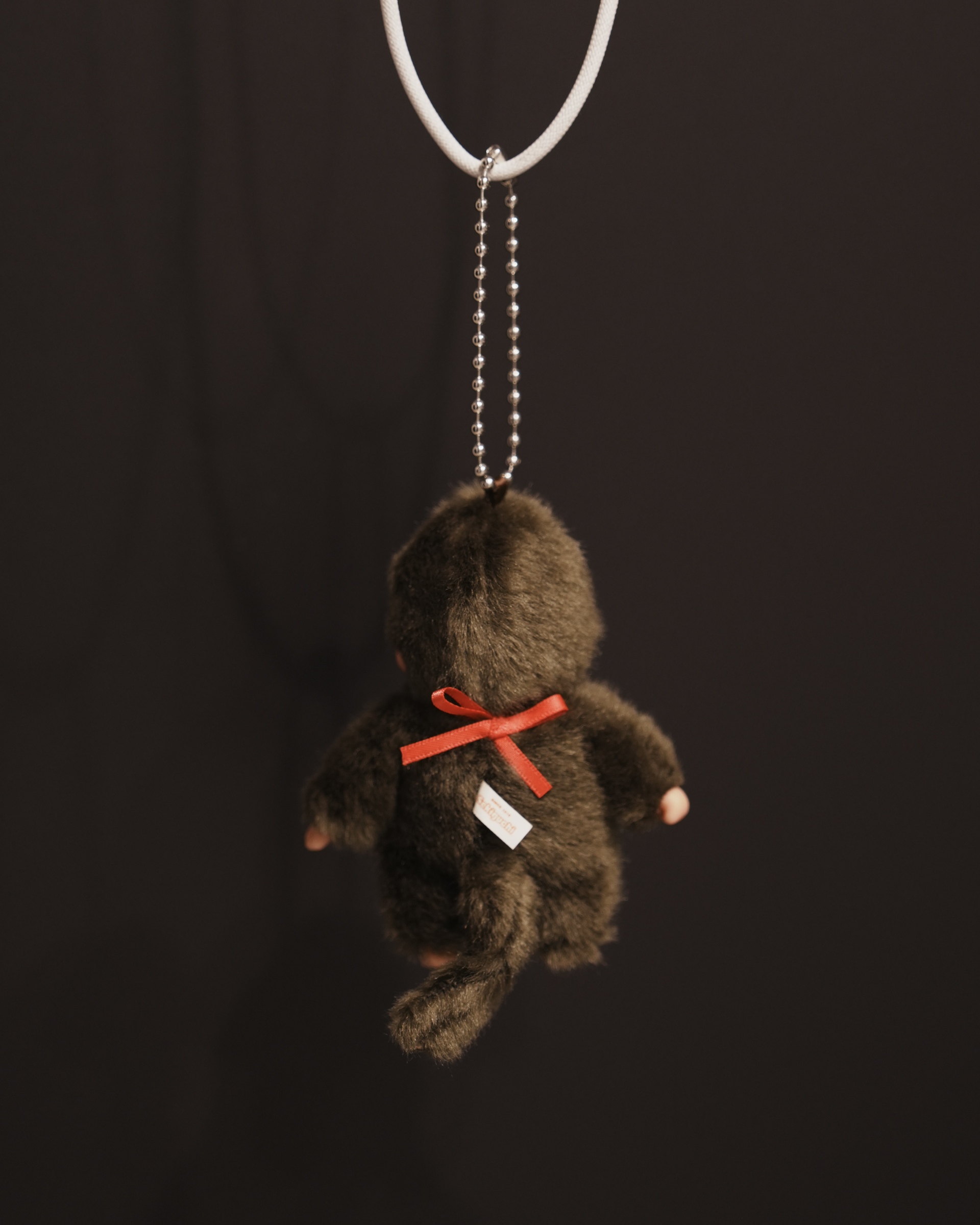 image_87844C1E-7A3E-43E6-98C2-3CDF34A3AAE3_1771948828