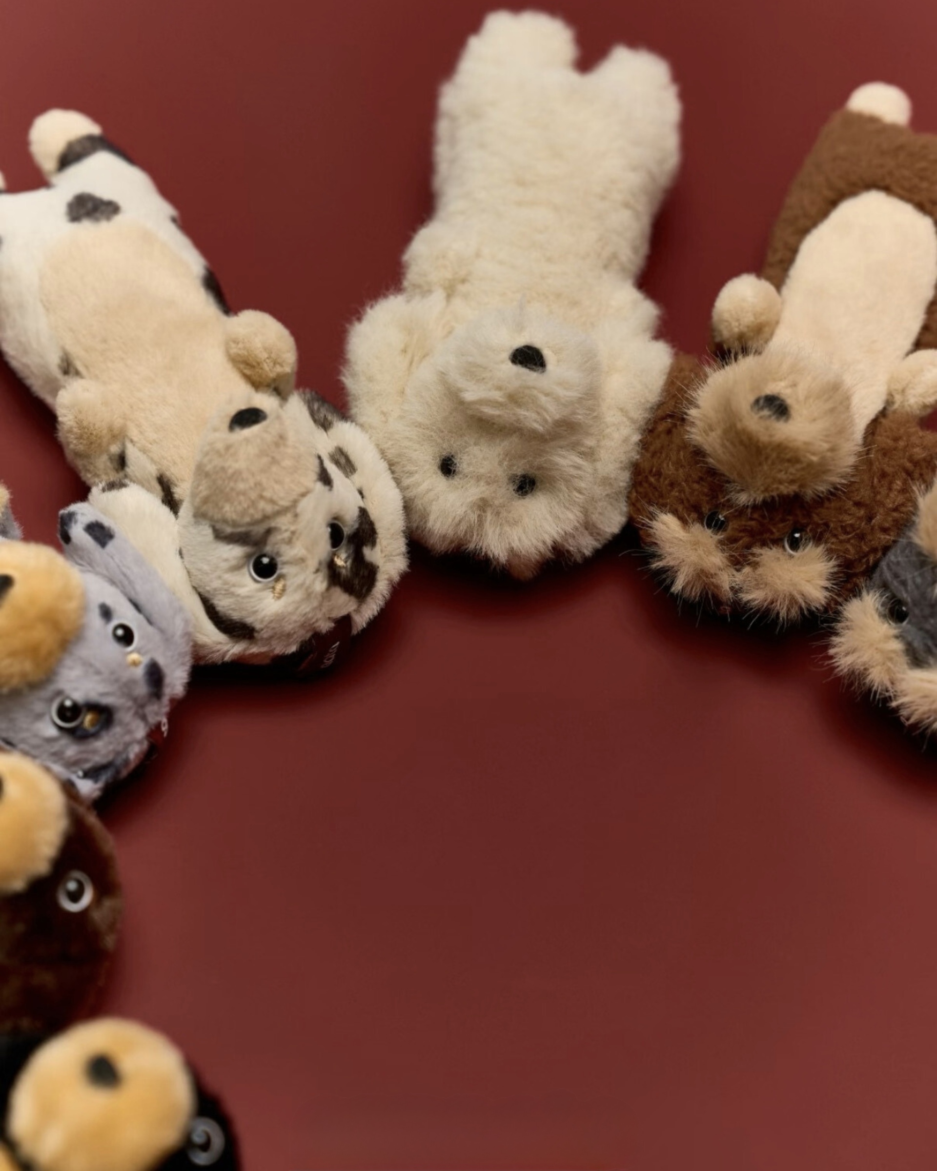 image_88B78532-F06D-4334-9936-C7C70C2ADBA8_1772362002