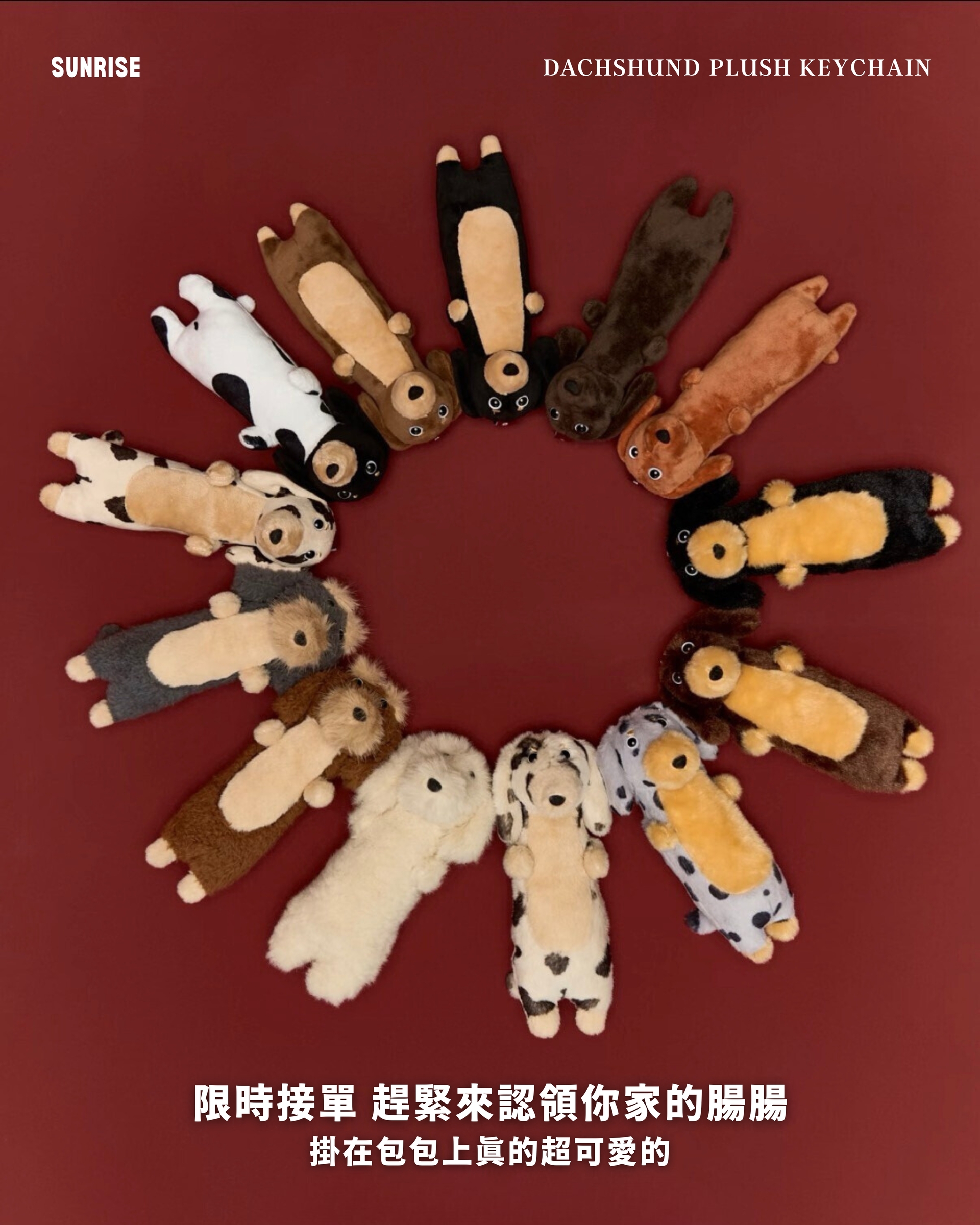 image_E0C9FA25-2926-4B6E-AF07-A96DAF78DC75_1772362002