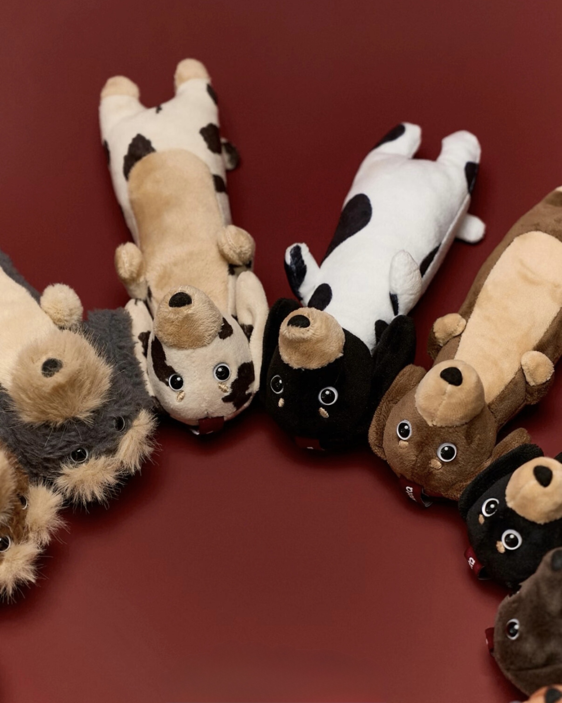 image_9490E80A-ED7E-487D-99BE-04725D173A90_1772362002