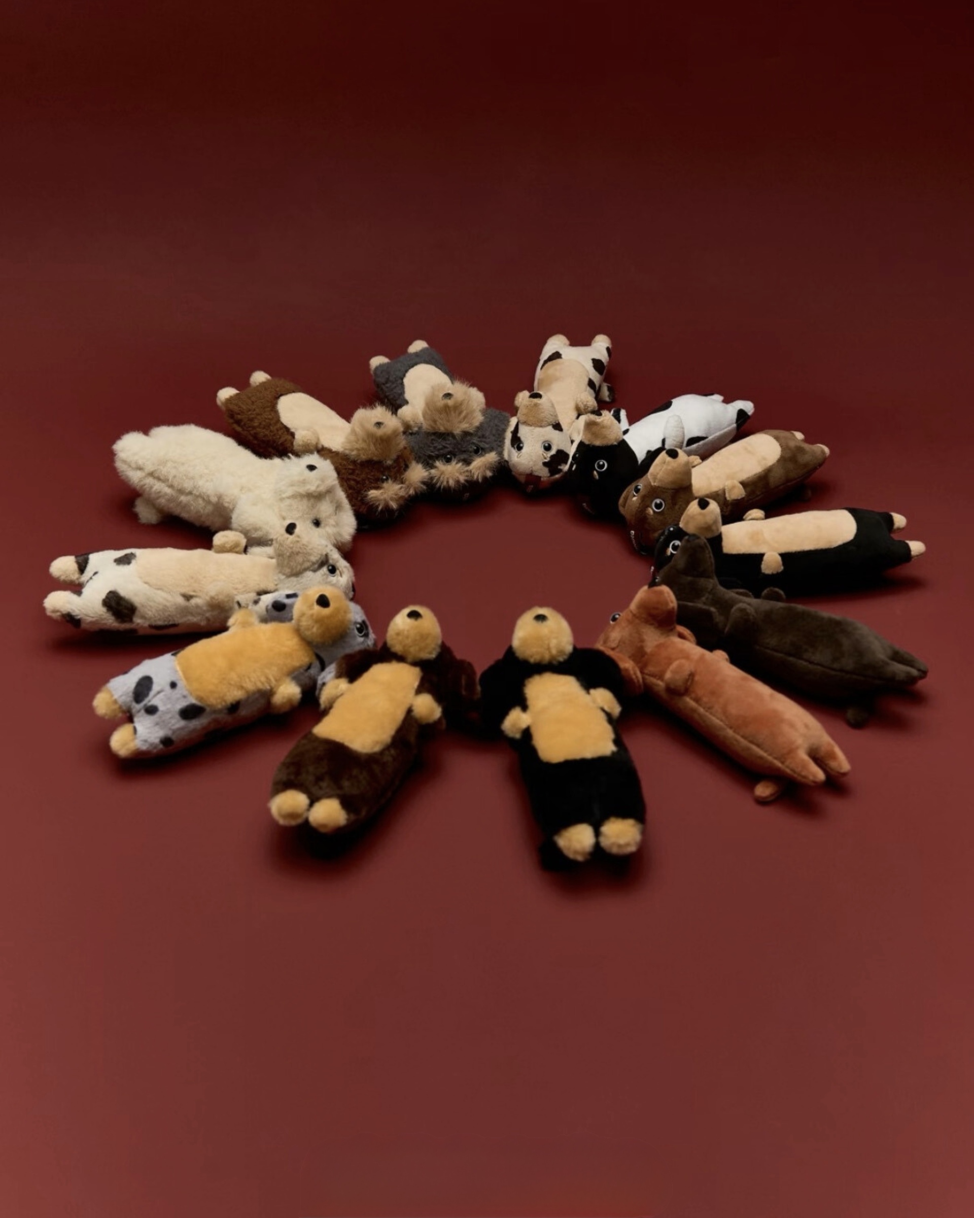 image_AD3EBD96-833D-4A6B-9085-383403AF88DB_1772362002