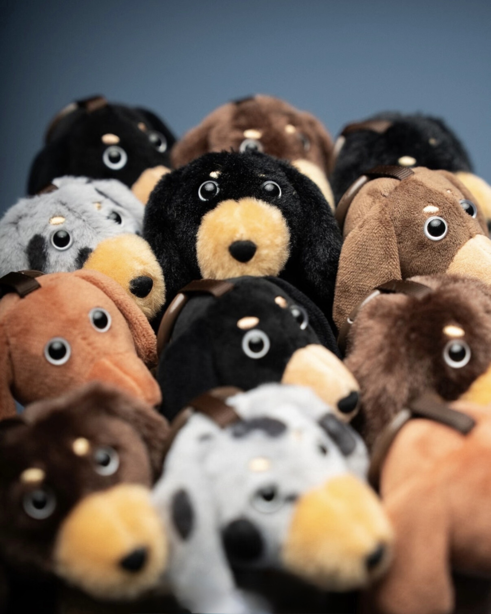 image_8917BC24-35EB-4B0D-9E9A-2E6D5F03DD31_1772362002