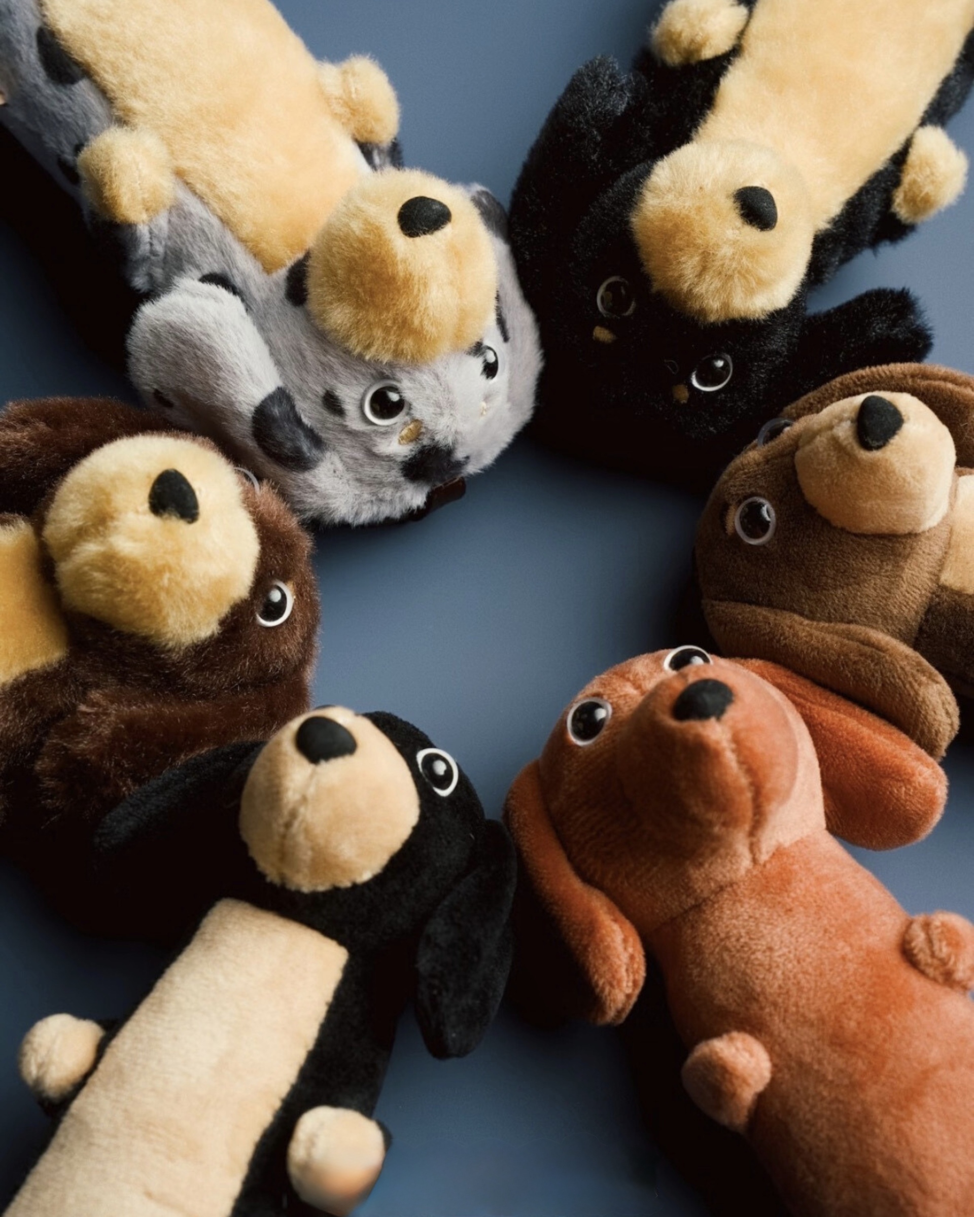 image_19134226-4397-401C-A64C-9472B28AF267_1772362002