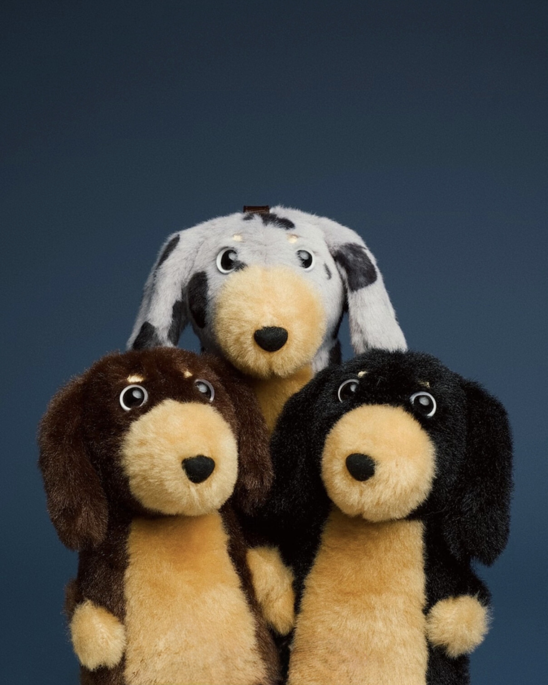 image_533F5E84-EAB3-4A81-BFA0-3B2A0B259EA7_1772362002