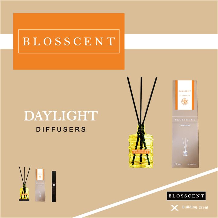 daylight com