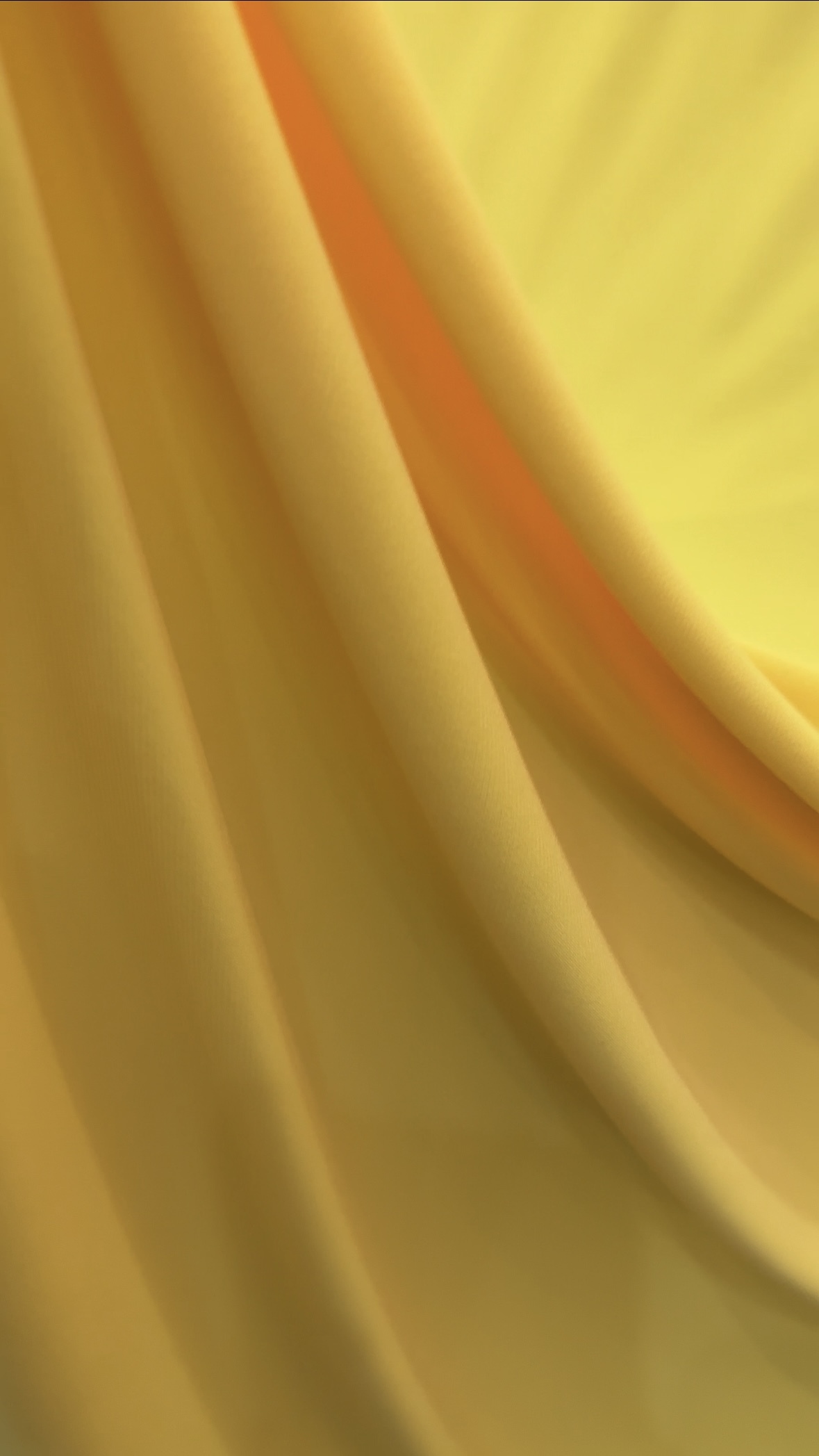 image_11150C56-CA13-4170-AD9B-EC8A73CB00B6_1761462194