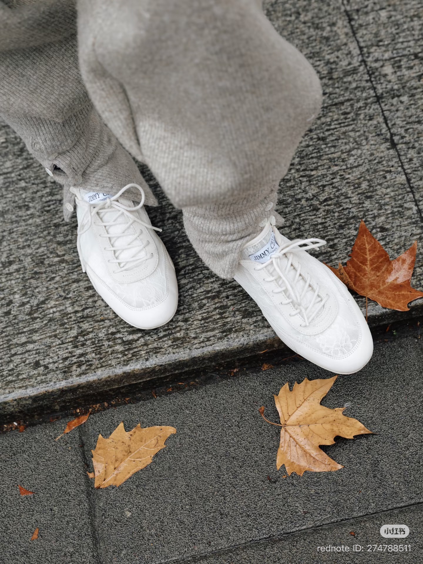 image_8D7CD664-991F-425D-850F-237ED182AA10_1772958984