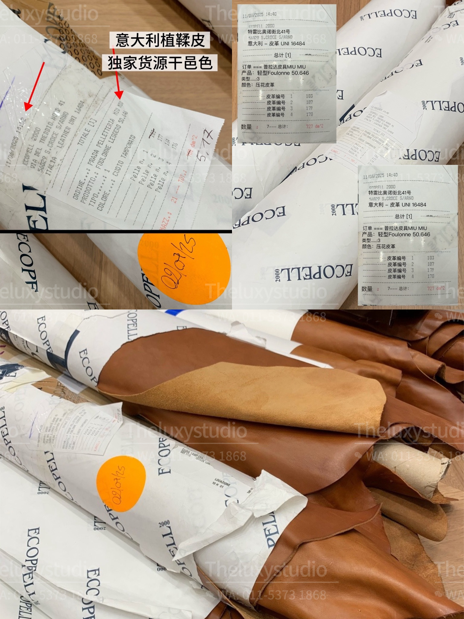 image_39E3C5F6-EA57-406F-81D9-7AD37BA57F4C_1773463745