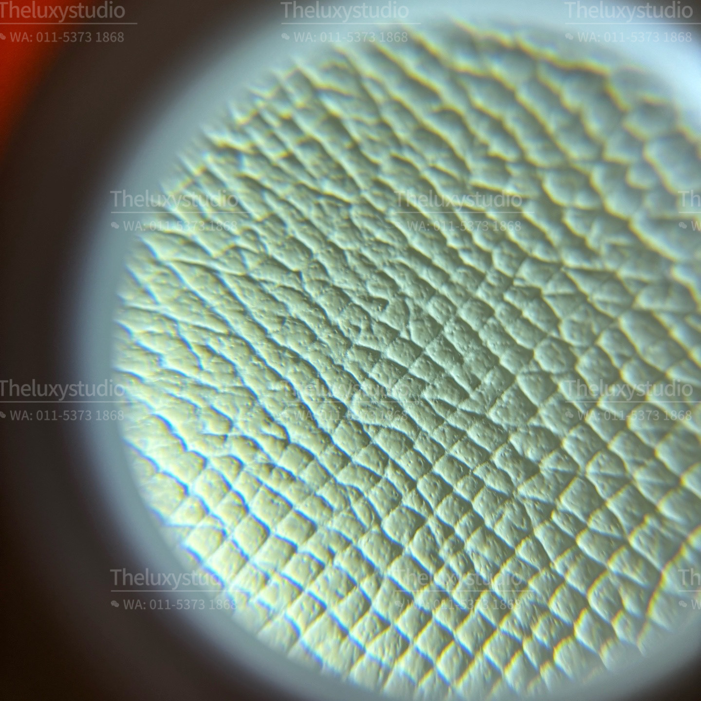 image_7DC27A17-9848-4D02-9E5D-DB66CE4D393D_1773644574