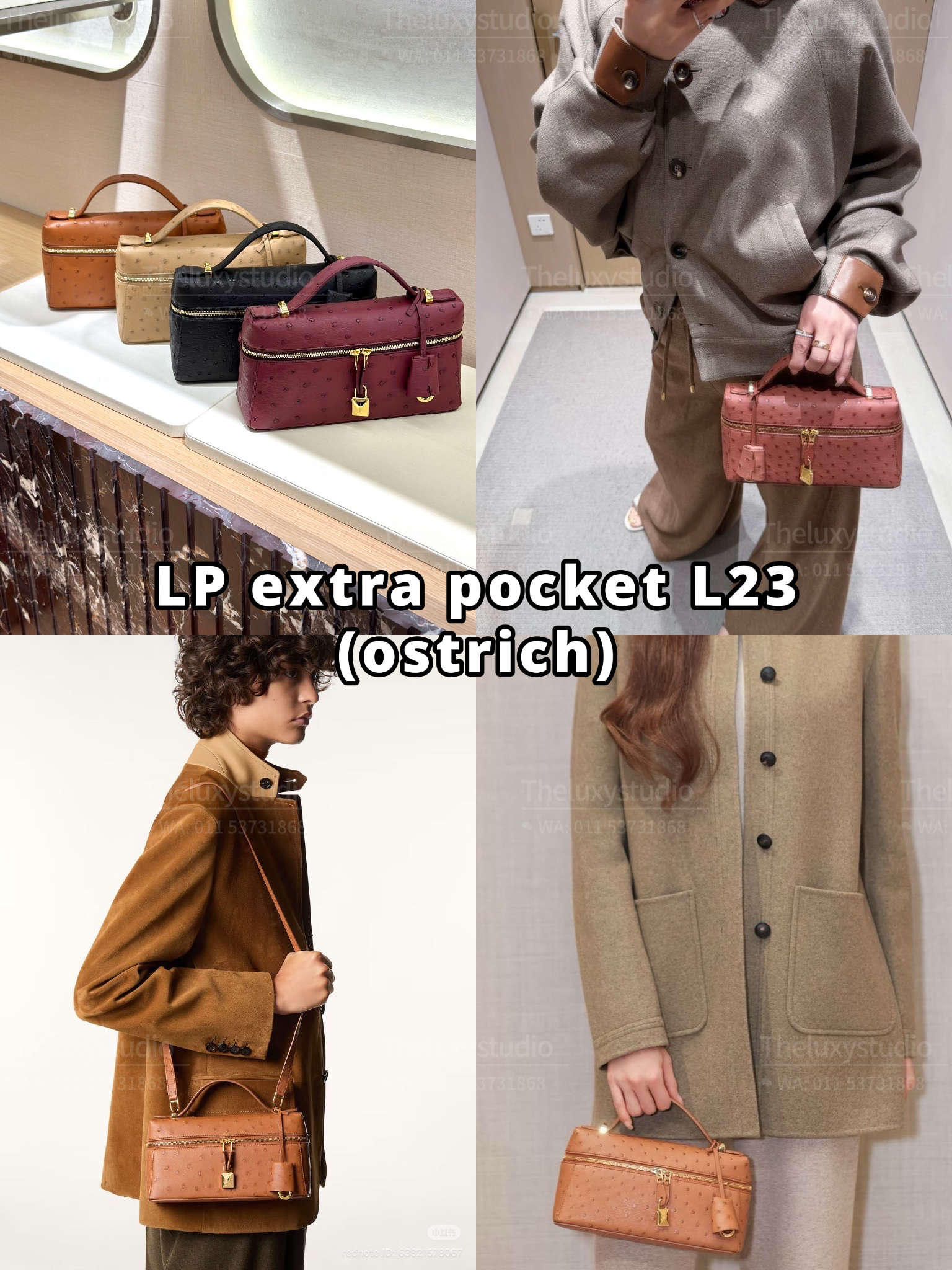 image_CD0824EB-B4C1-4584-9BA2-6E8A12830501_1774536332