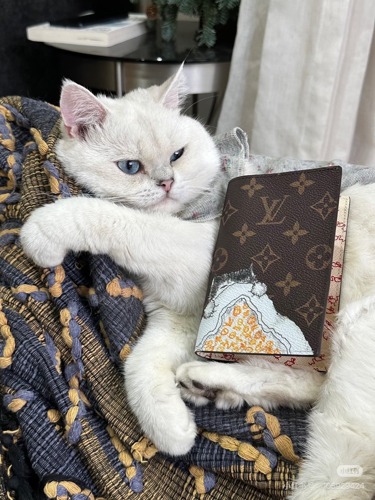 image_467F4921-6898-43CF-A539-41B3BDCACC3D_1774754353