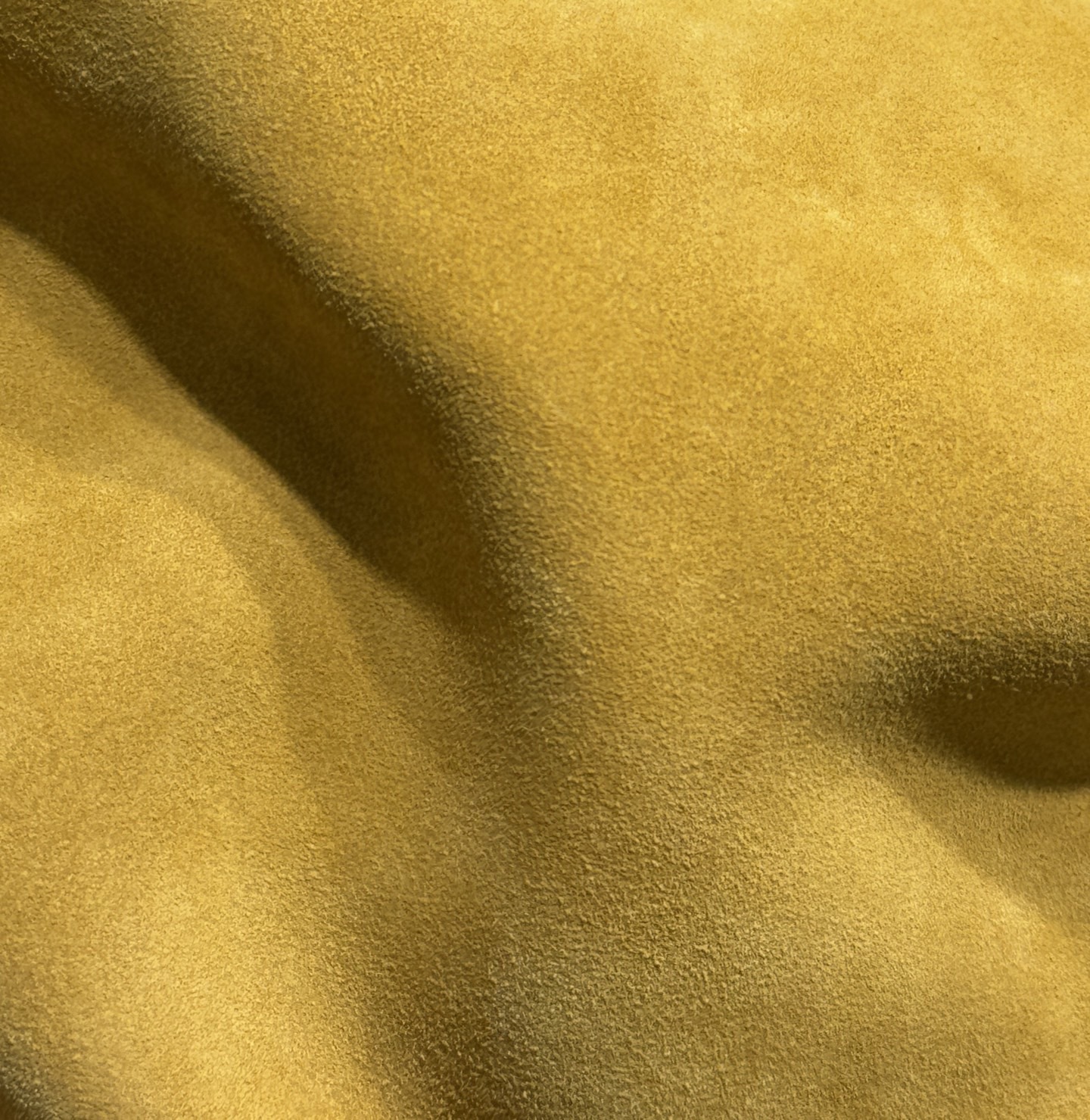 image_8908EEF0-CA3F-40BD-8899-5F8B4FFC081E_1790131500