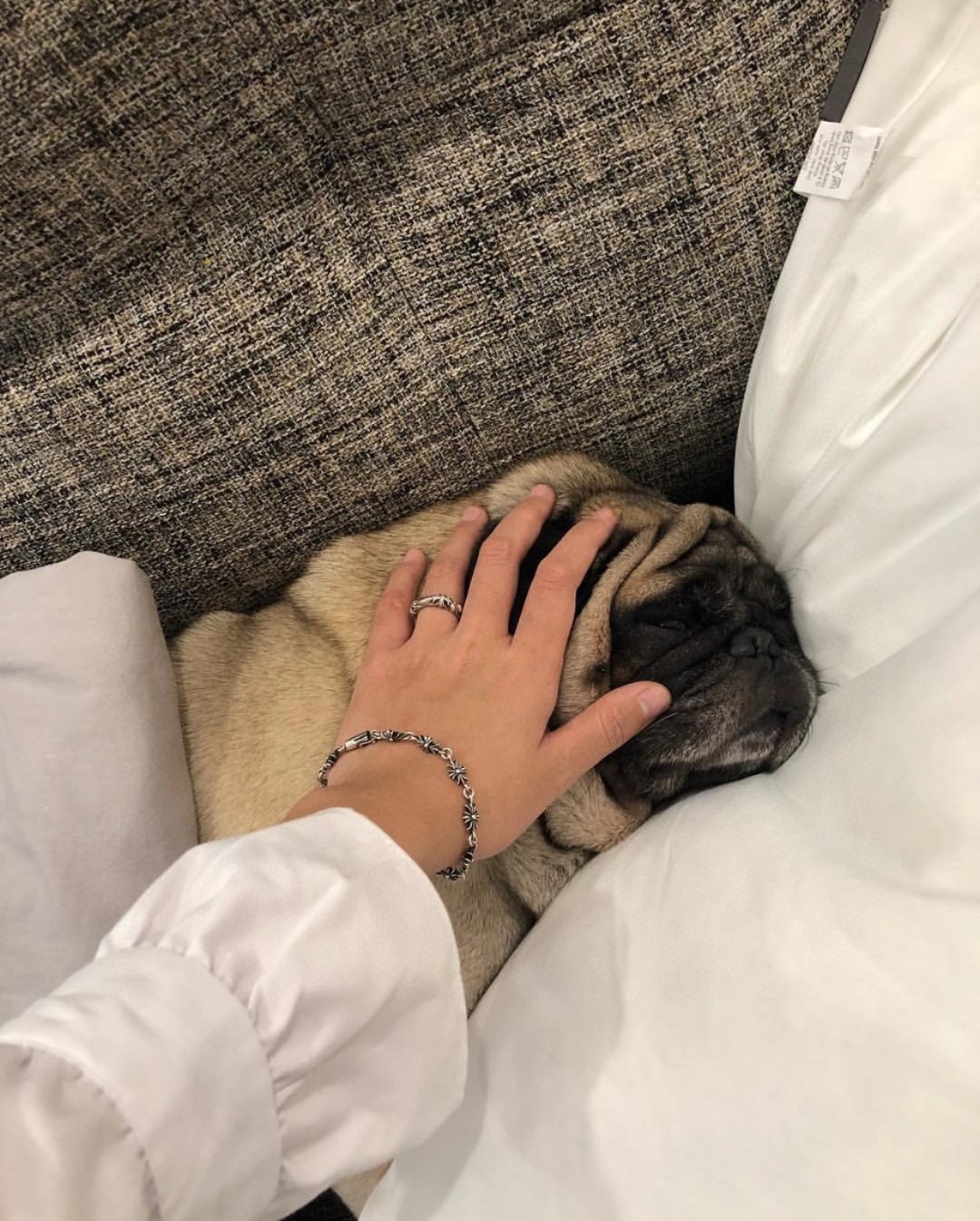 A7226E51-6F9B-4B78-9034-139990C4CA86