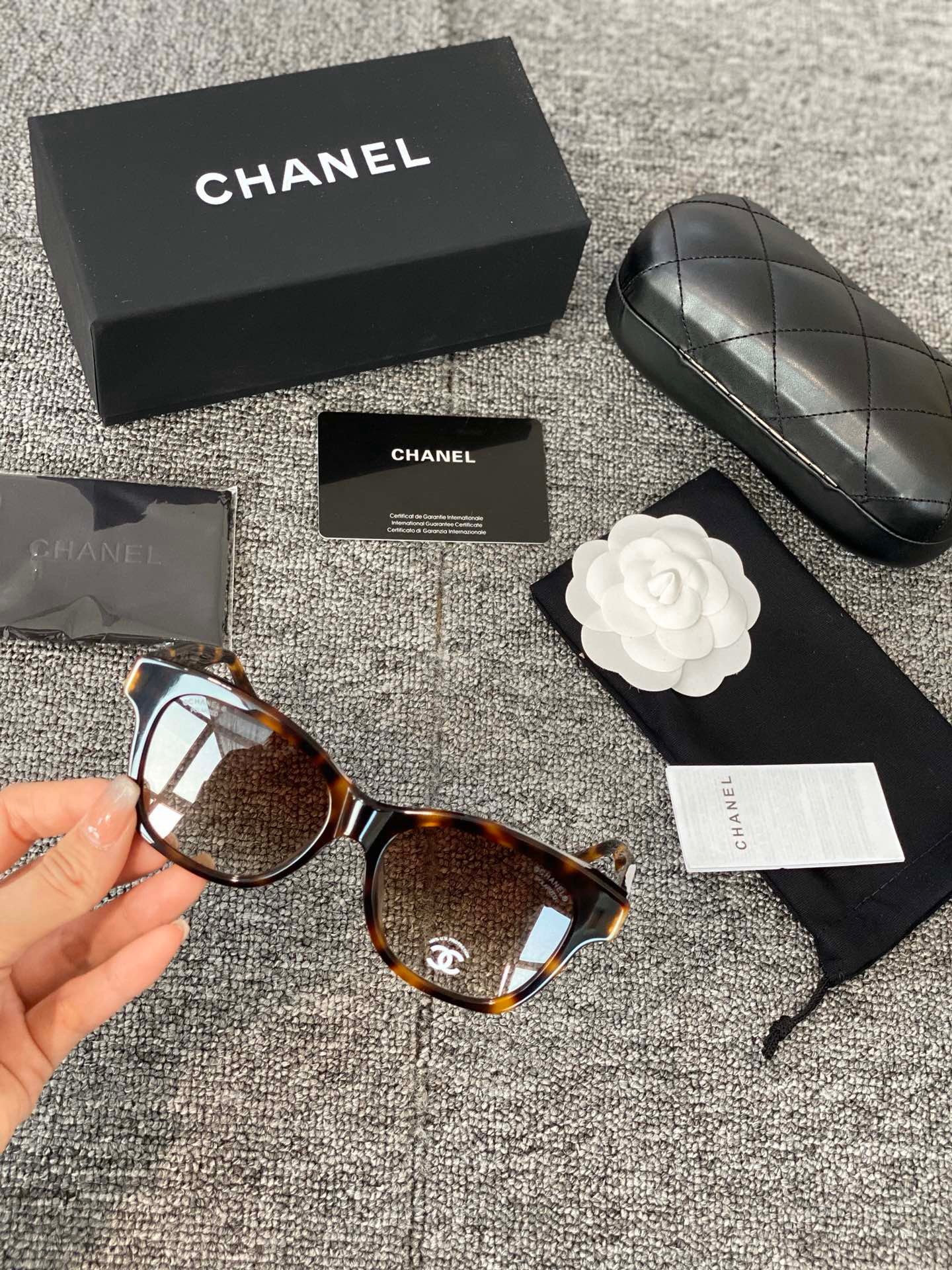 96ED4D13-337D-4565-92A0-BDDF6E600347