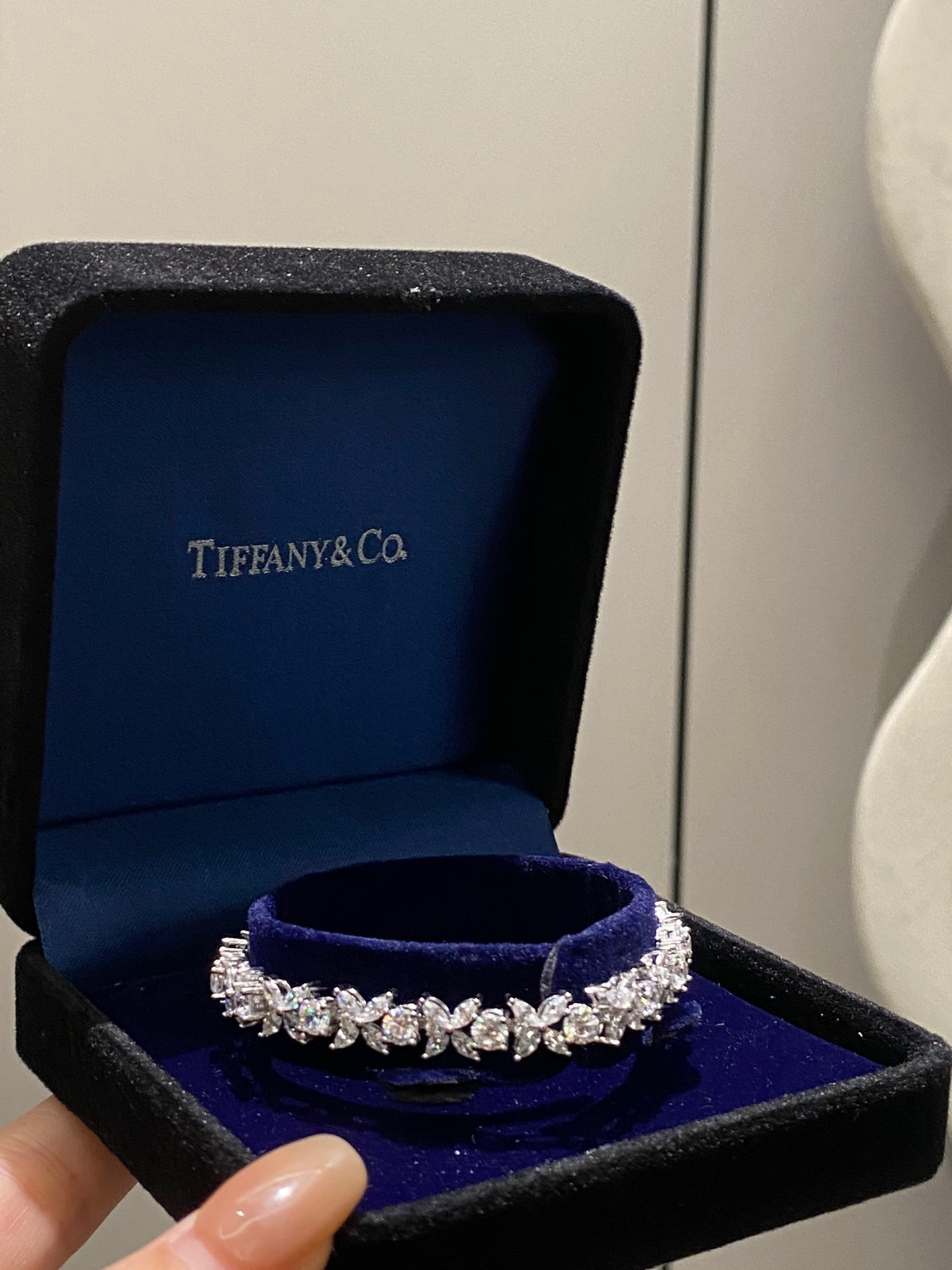 B3D20B81-78F4-47F3-BDBF-FF595D31DBBD