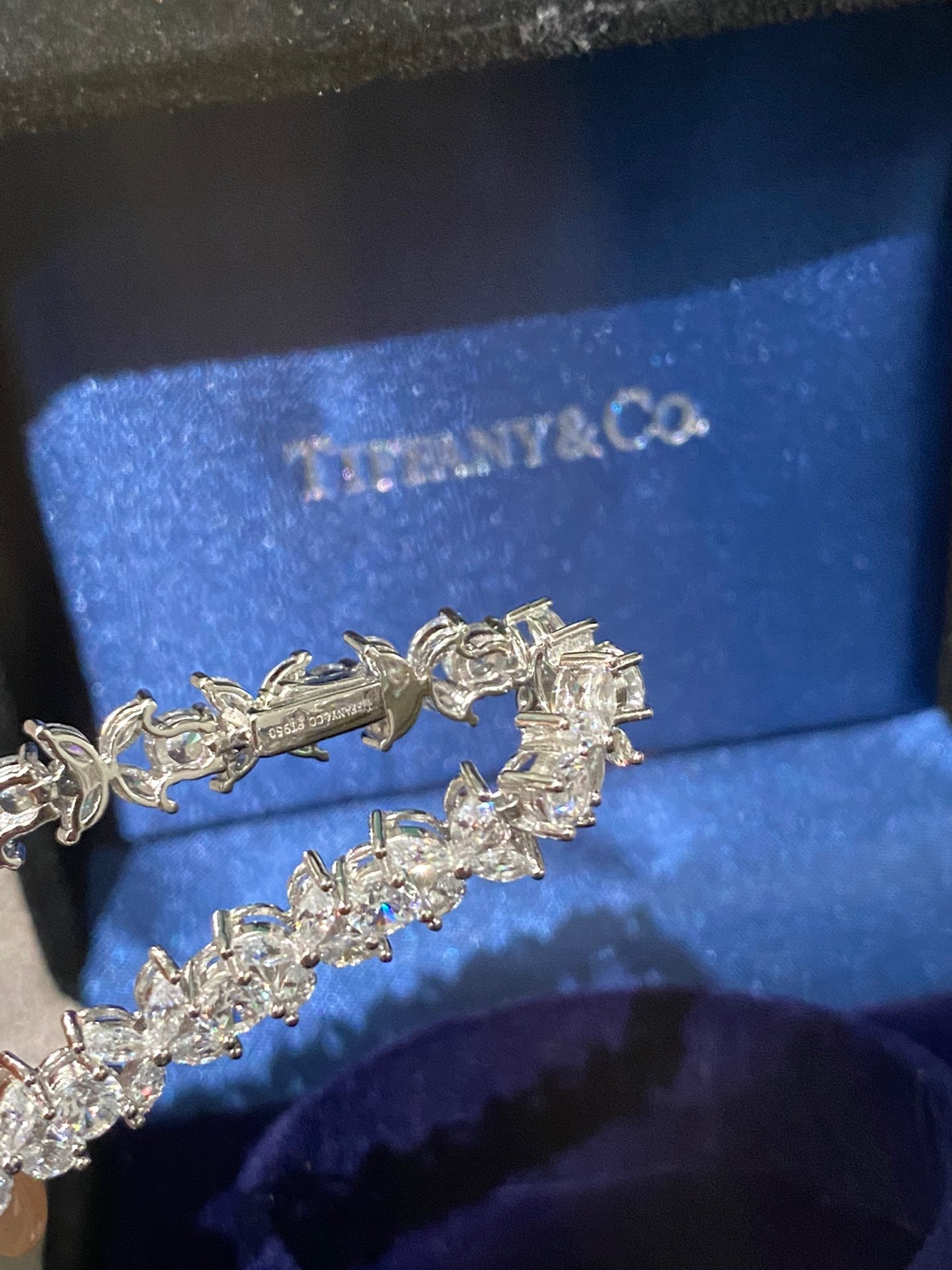 F0A8E62F-AFC8-4A4A-B740-5F42177BB9FA