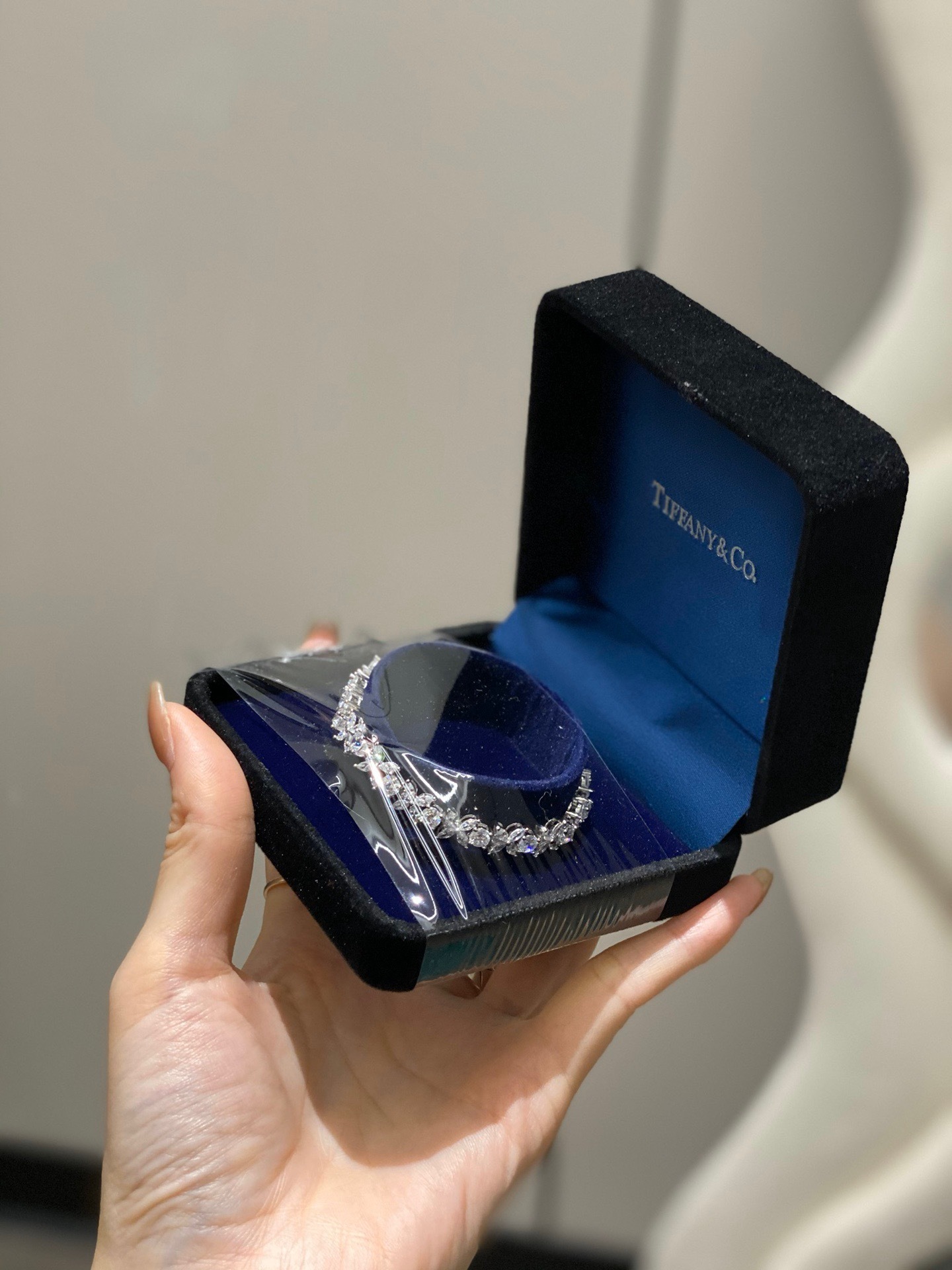 498B53B7-B7F3-451D-AC03-BF7DE05B9FDA