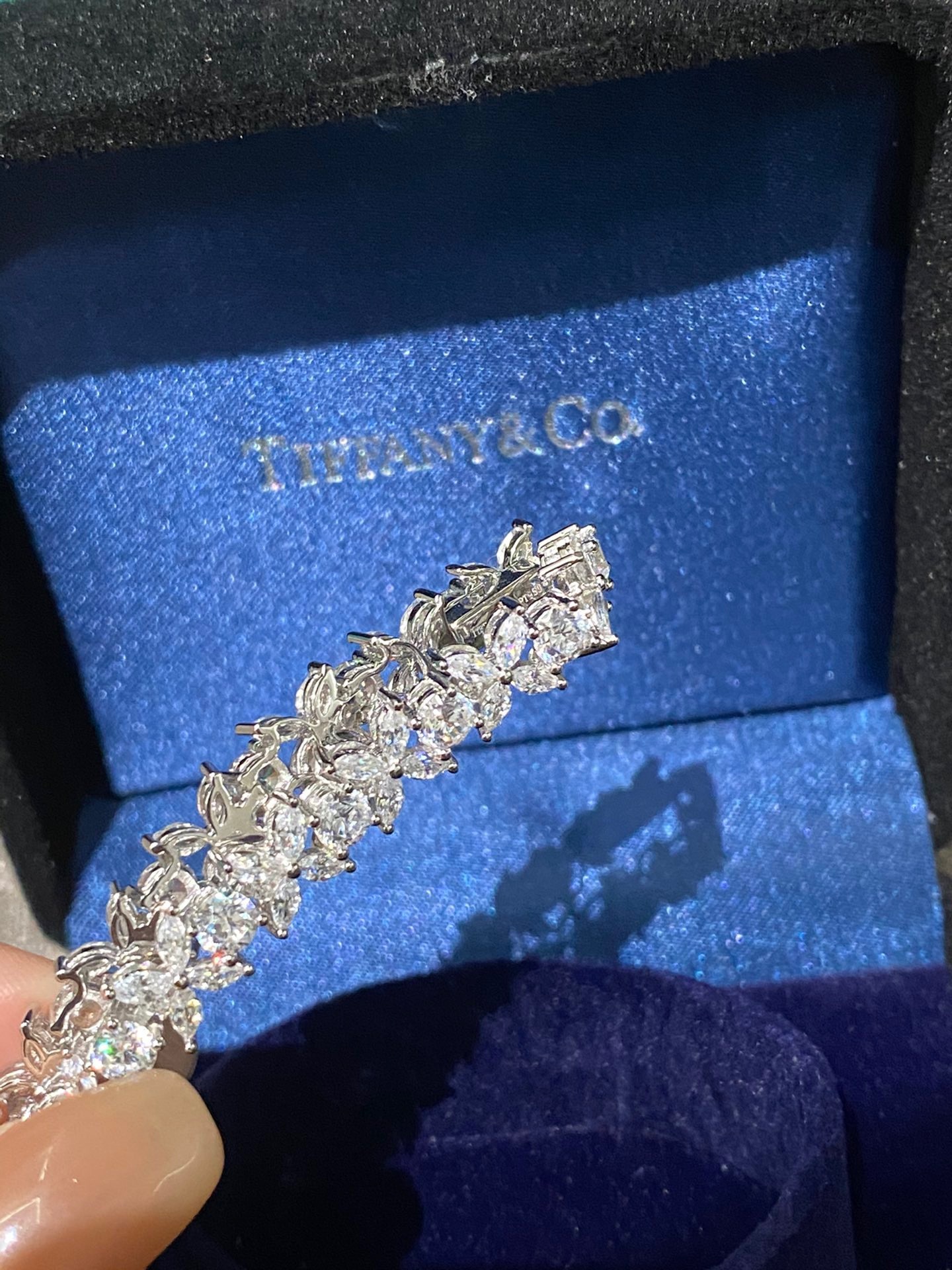 78E146A5-CDB2-4C4C-8EA8-C16FCEA2FB5C