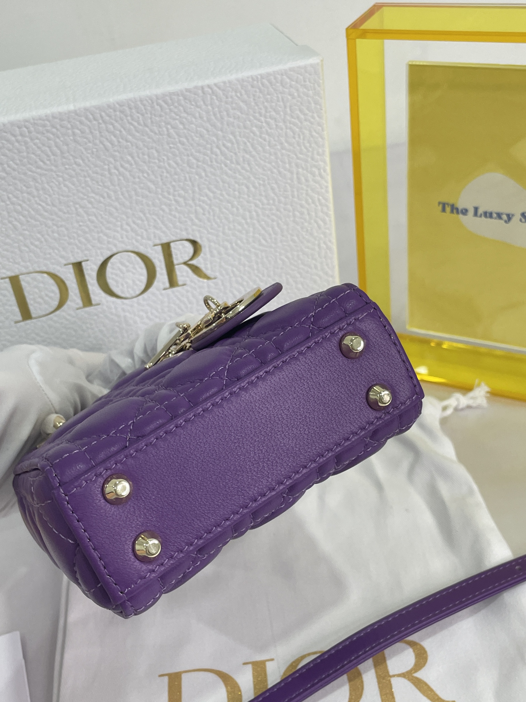 IMG_9427-1696515268827