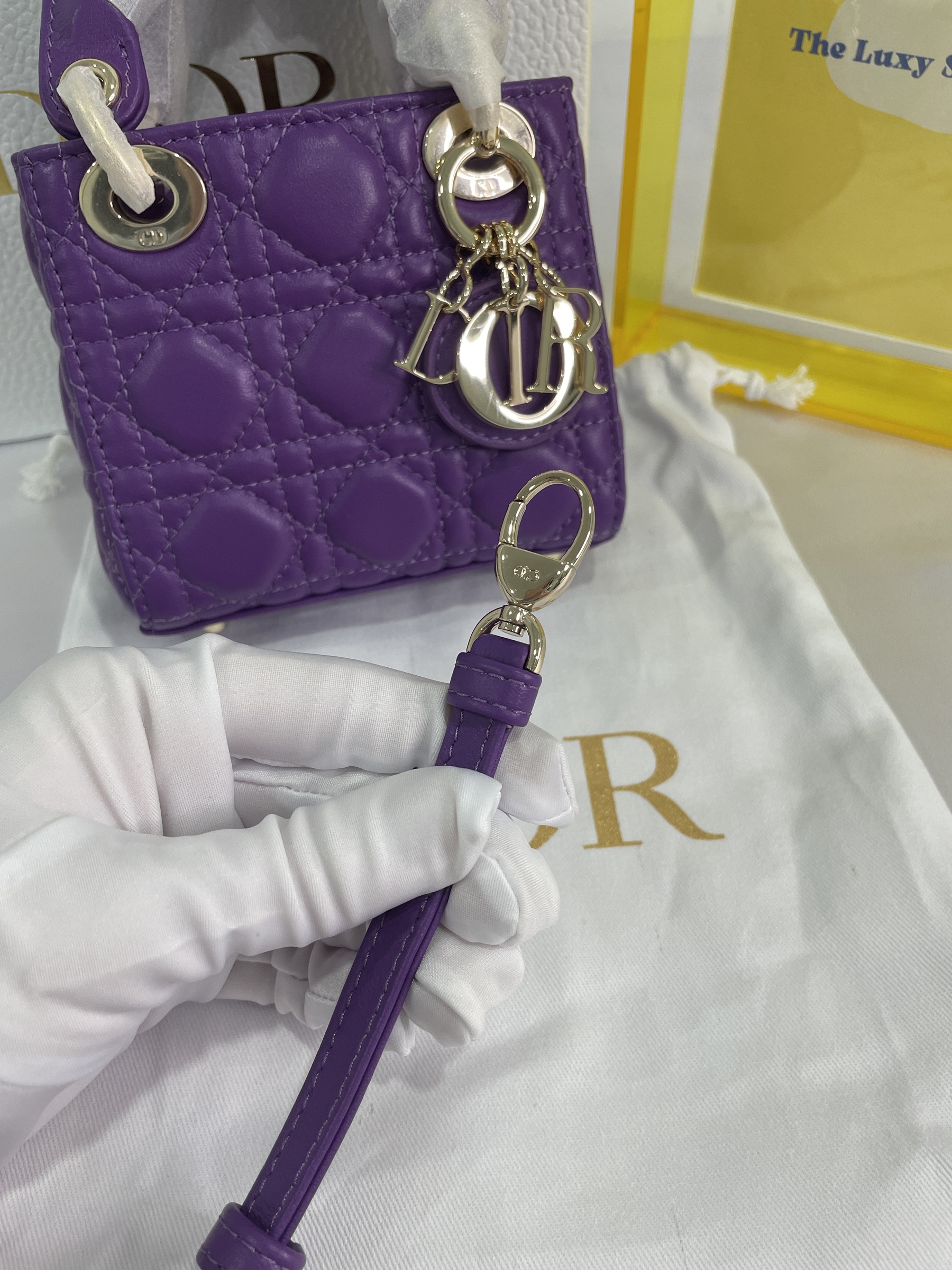 IMG_9431-1696515268855