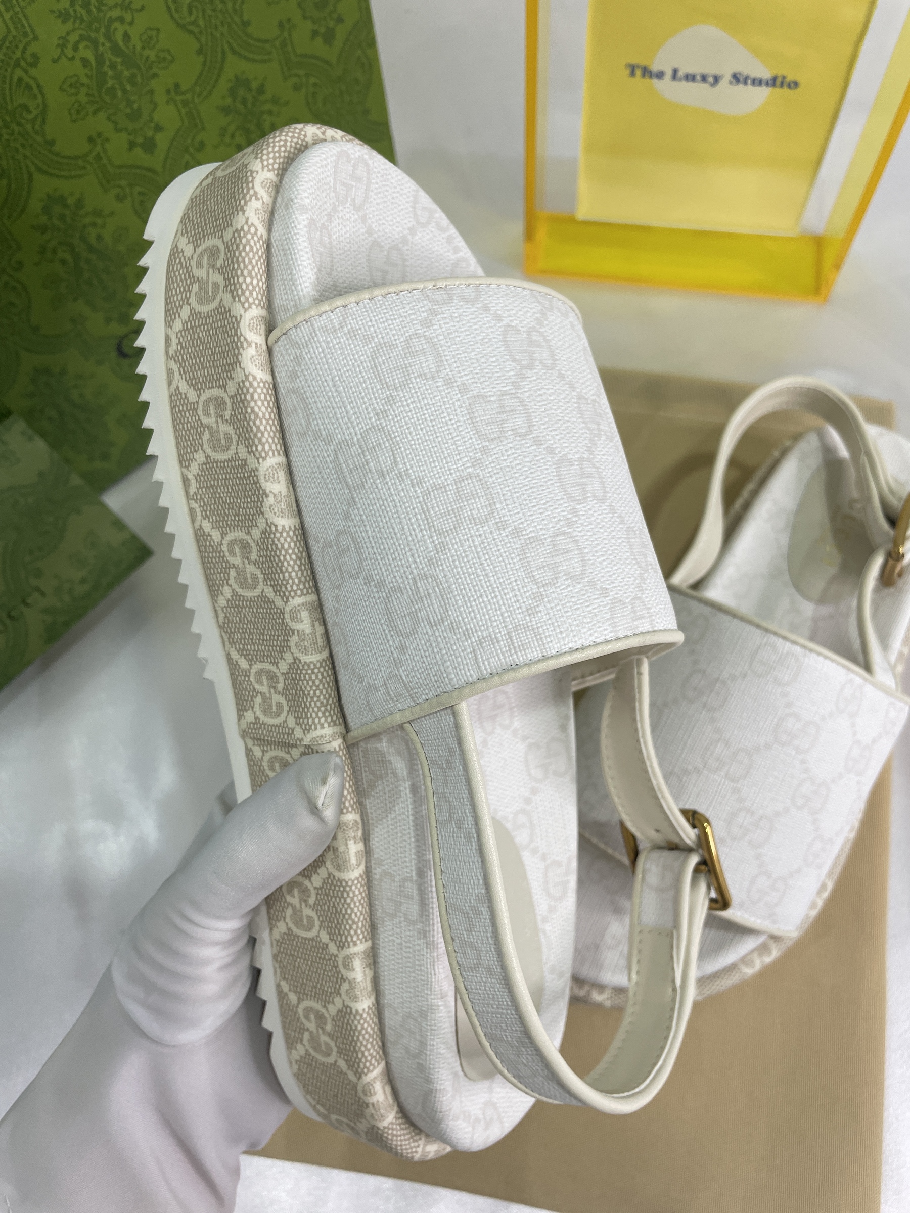 IMG_8973-1696515534724