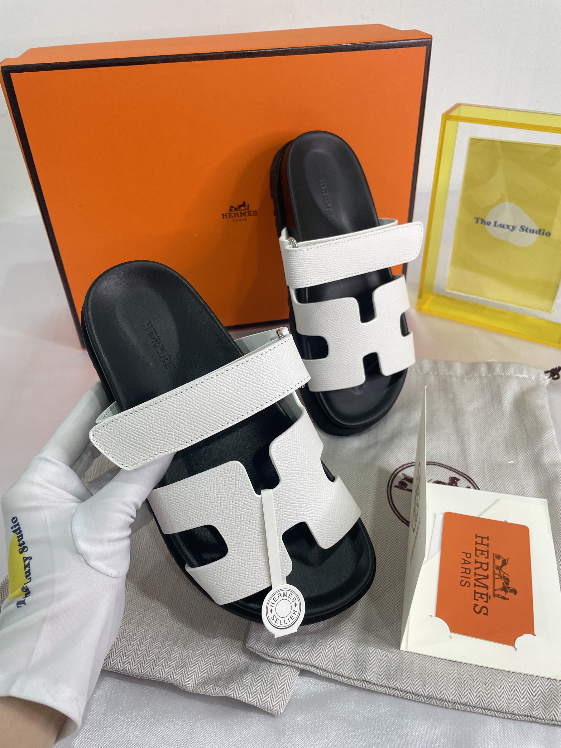 IMG_8976-1696515700948