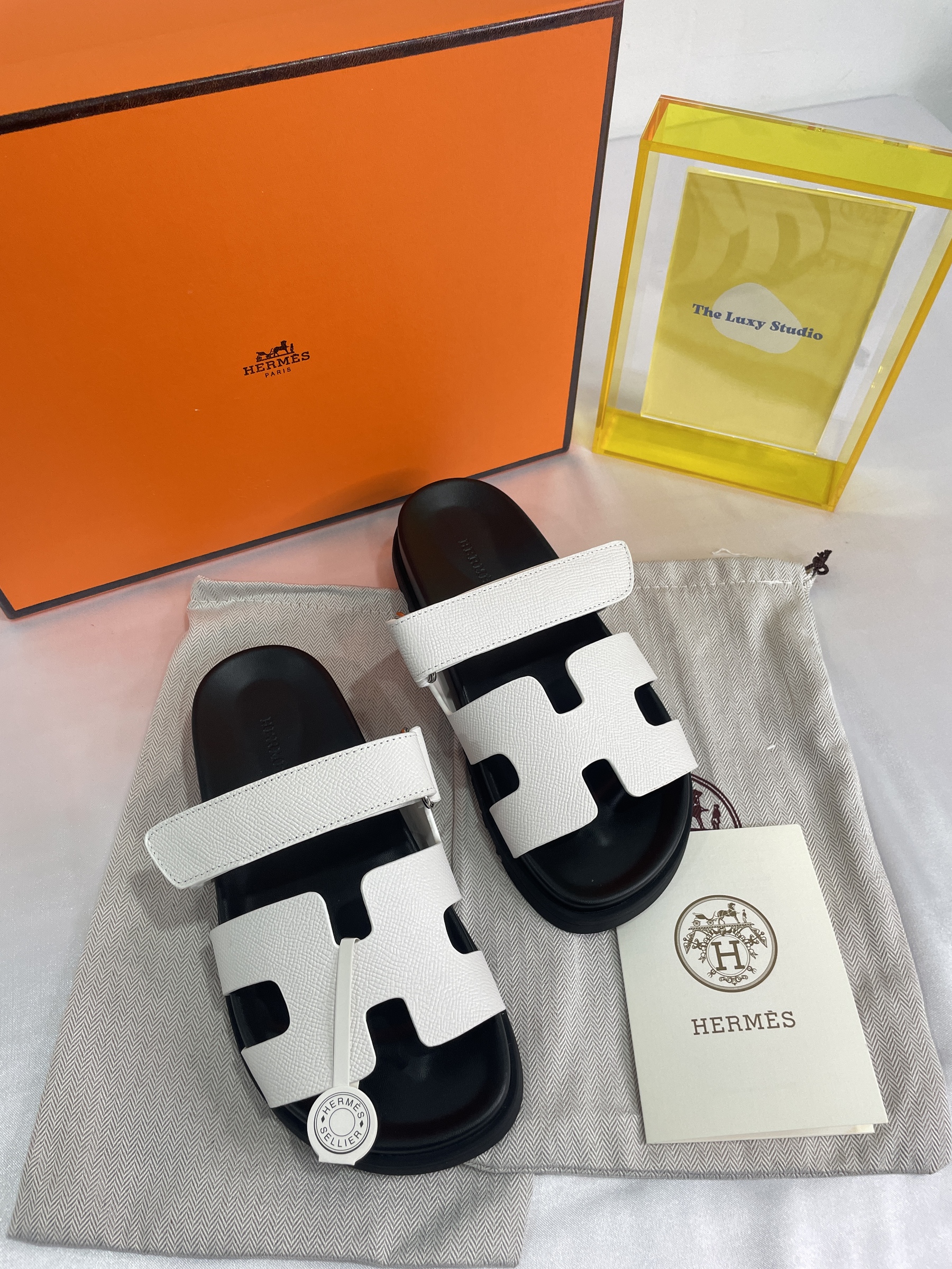 IMG_8980-1696515700953