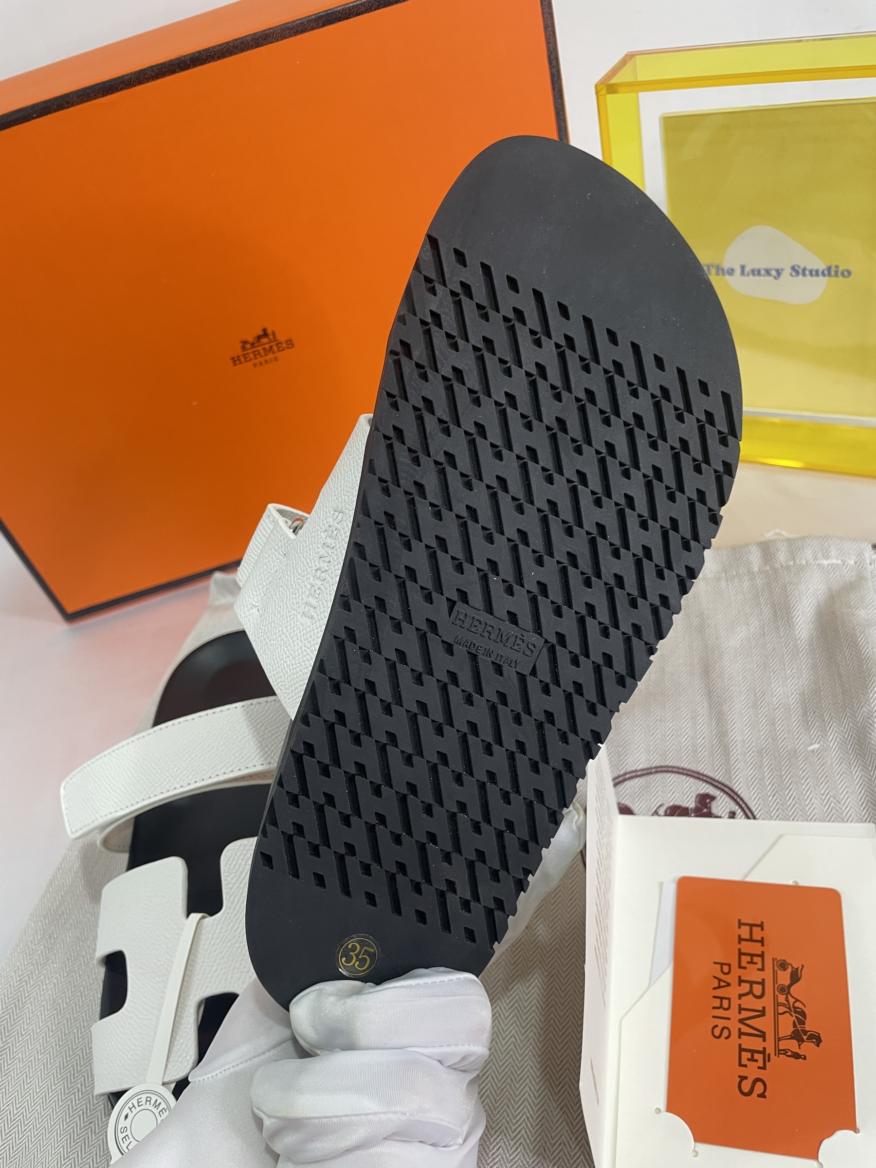 IMG_8979-1696515700960