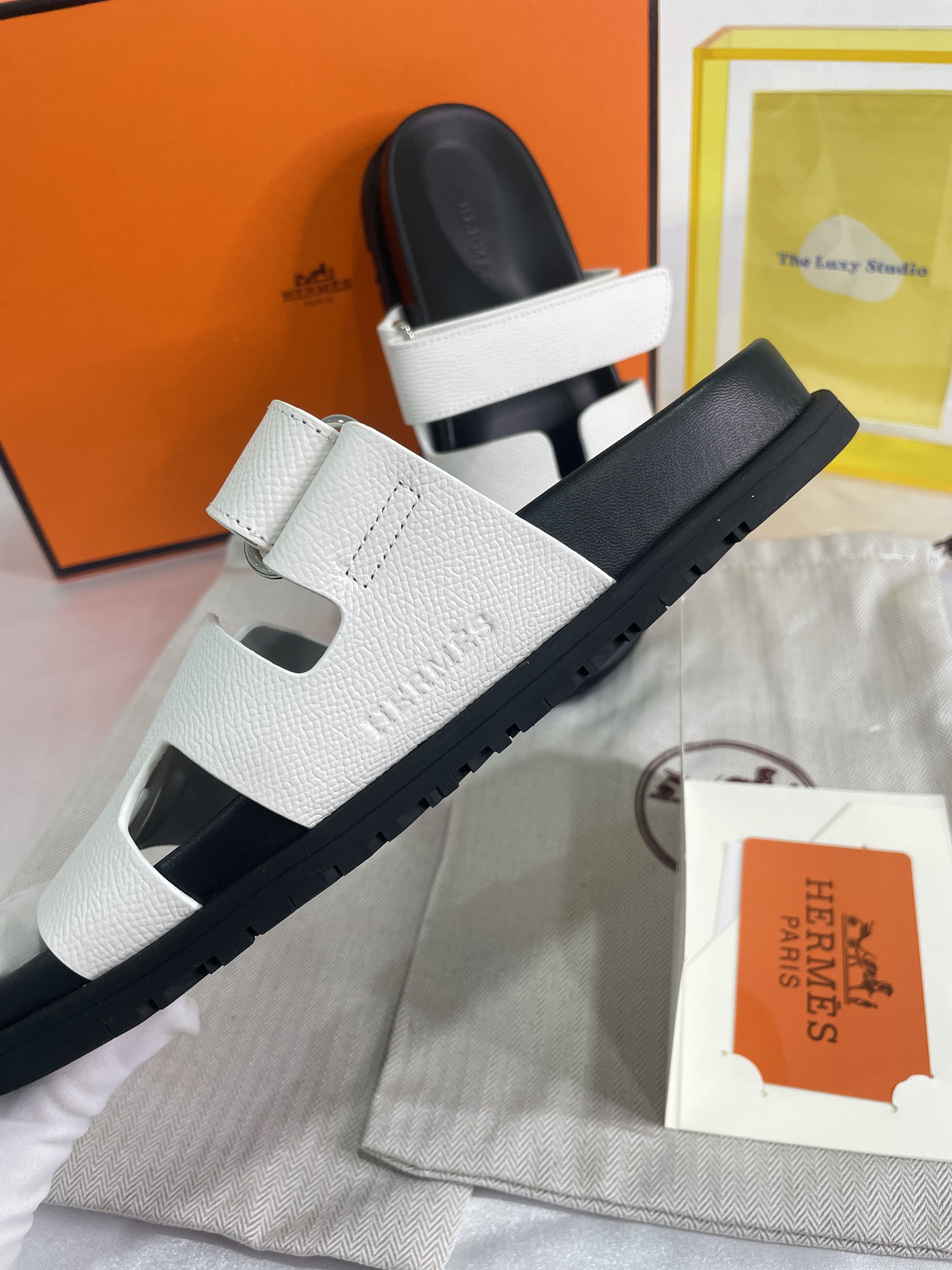 IMG_8977-1696515700968