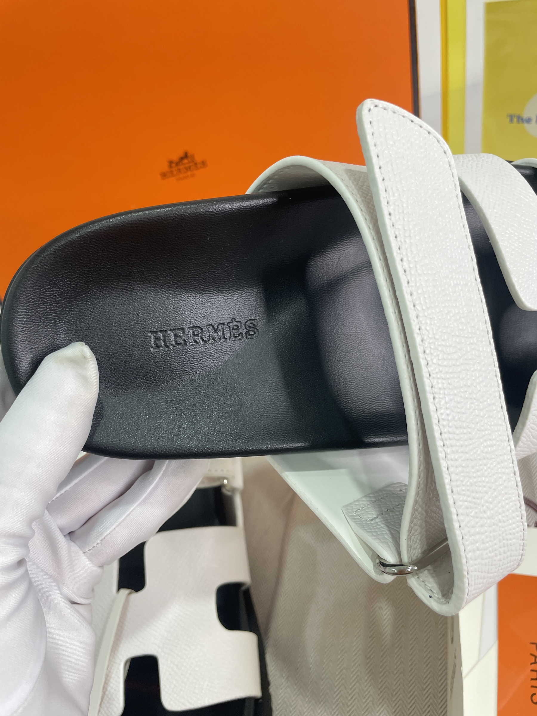 IMG_8978-1696515700974