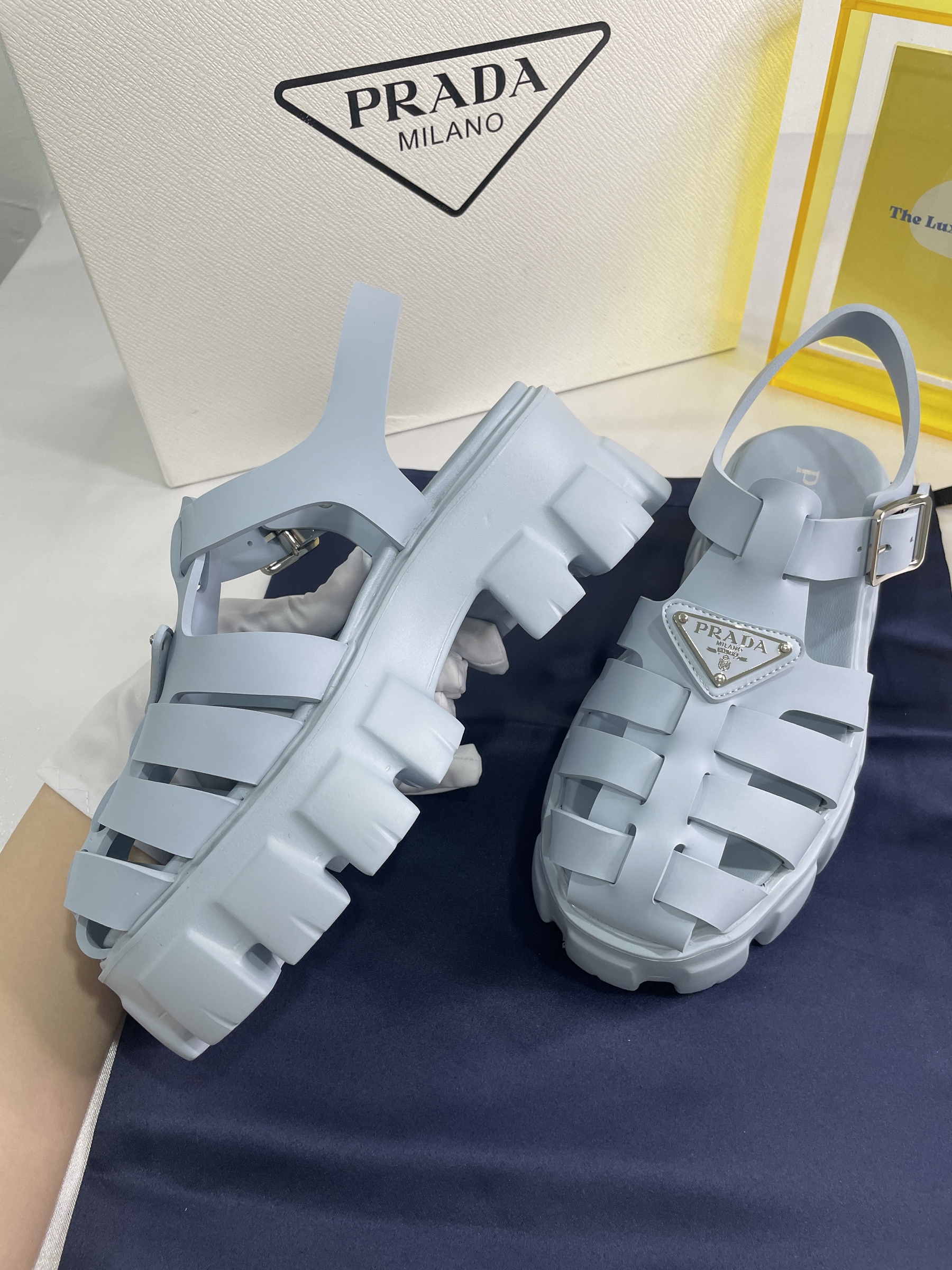 IMG_9450-1696515824612