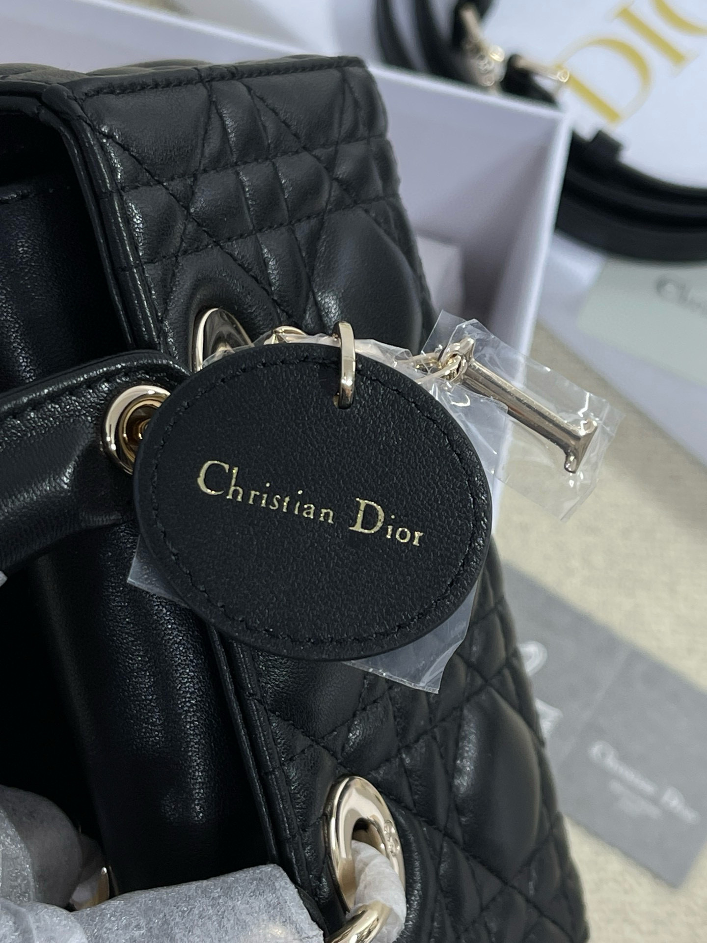 IMG_8100-1697422266188