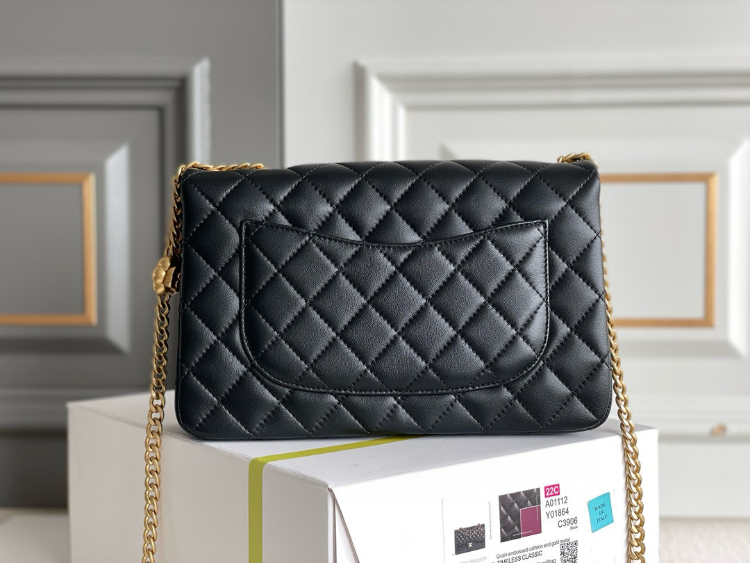 IMG_7870-1697422567697