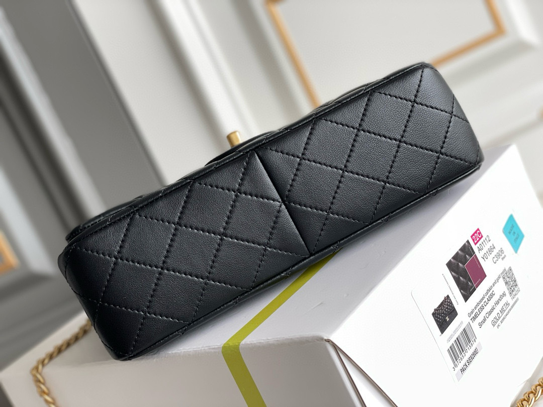 IMG_7871-1697422567703