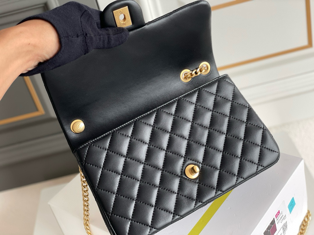 IMG_7875-1697422567732