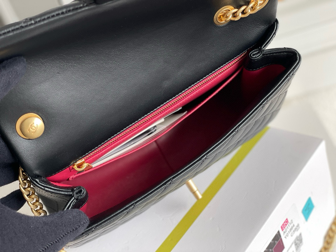 IMG_7876-1697422567739