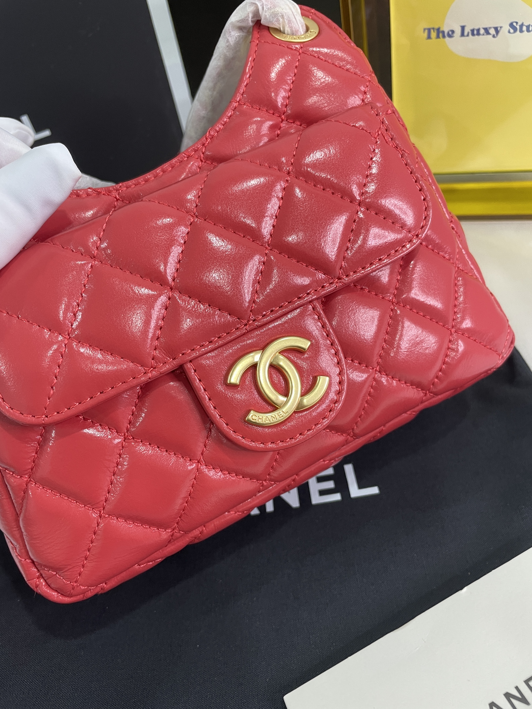 IMG_9749-1697727530530