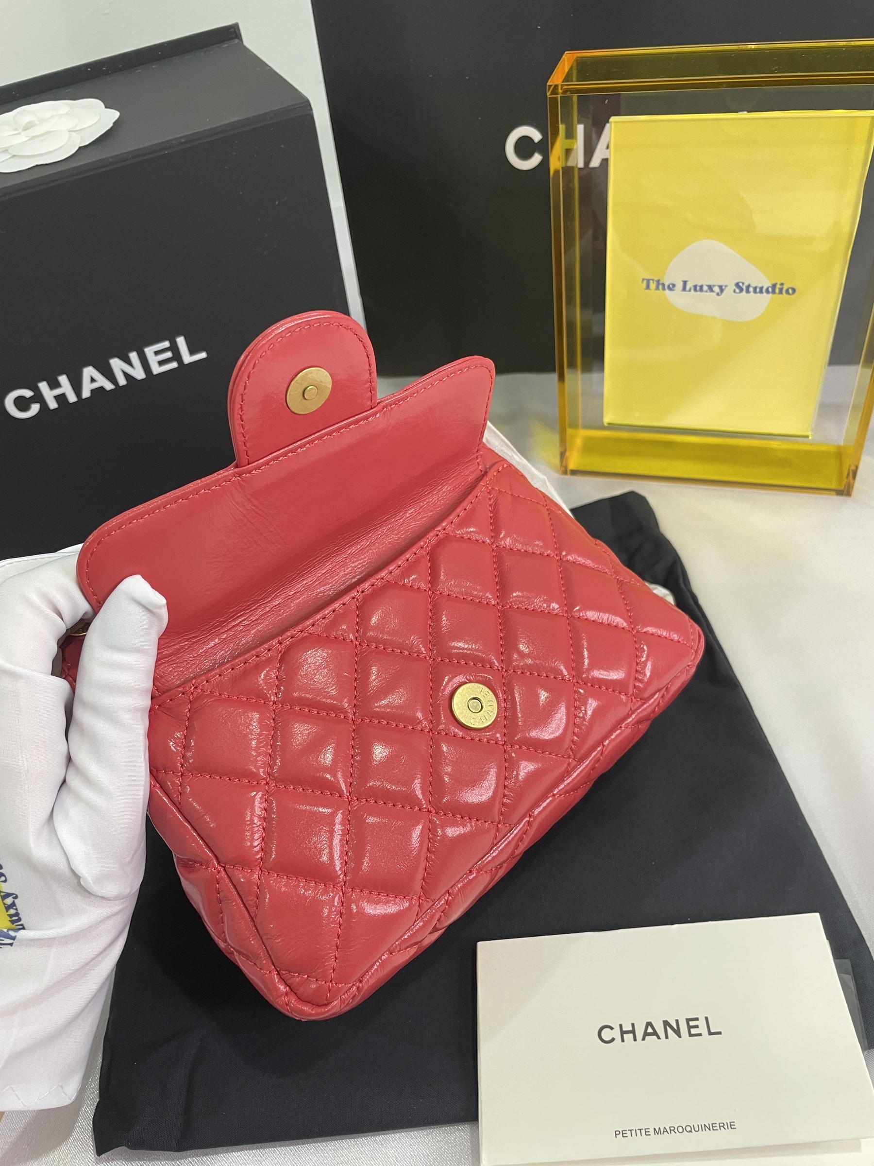 IMG_9753-1697727530553