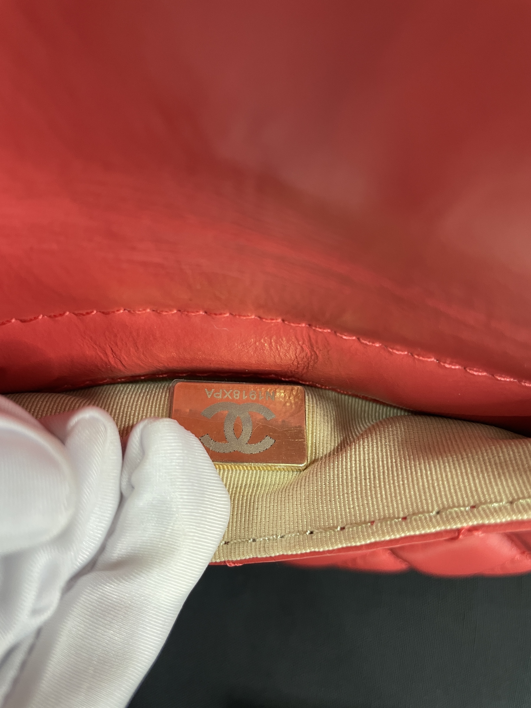 IMG_9754-1697727530561