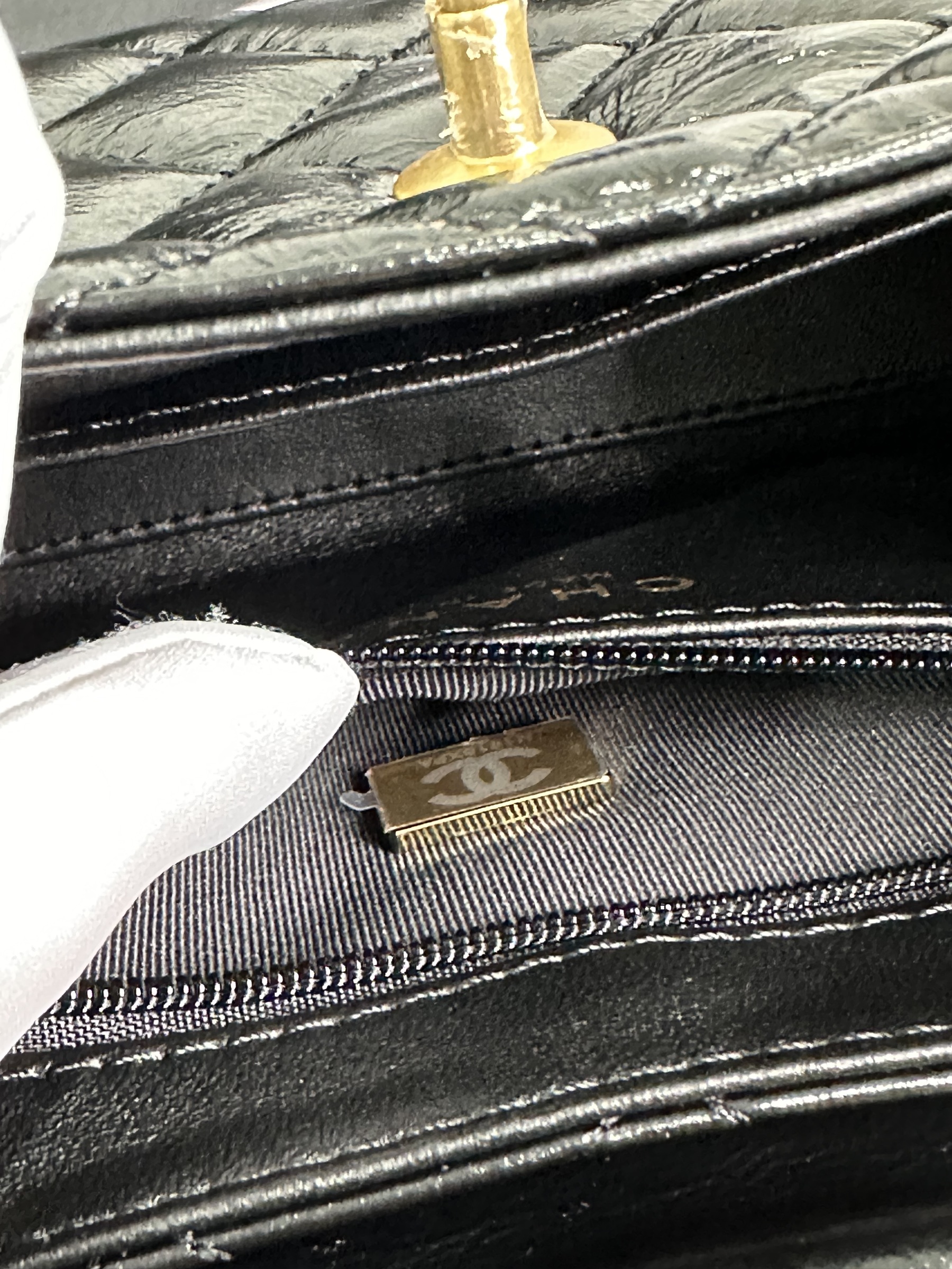 IMG_8203-1697733031016