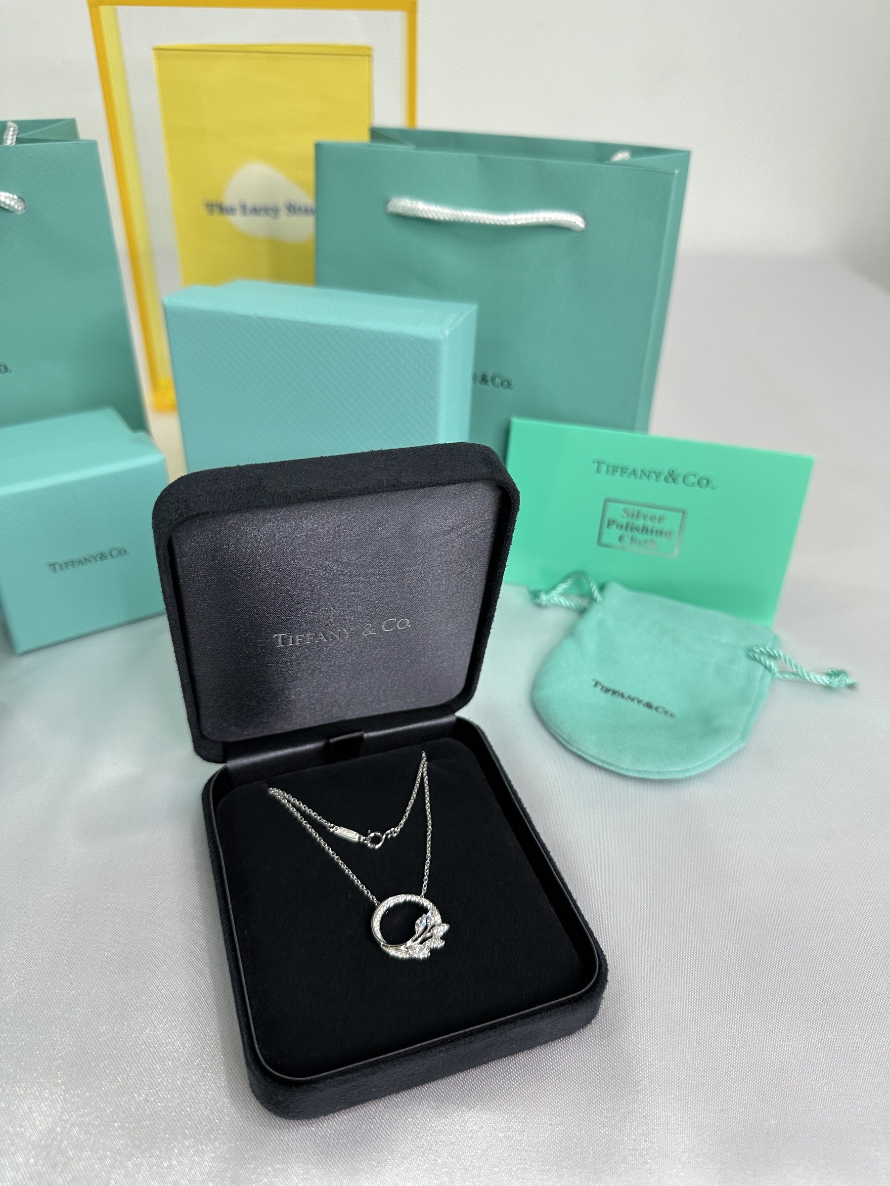 IMG_8243-1697812382658