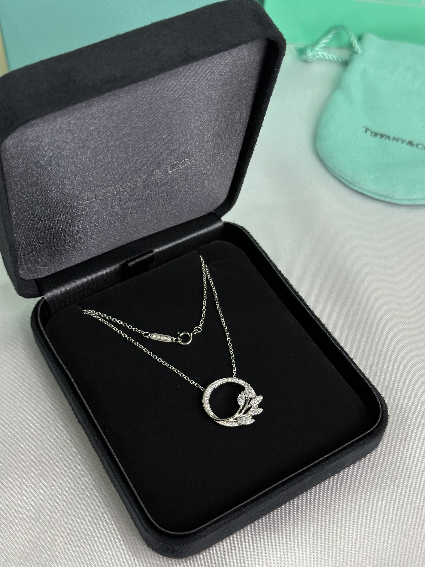 IMG_8247-1697812382776